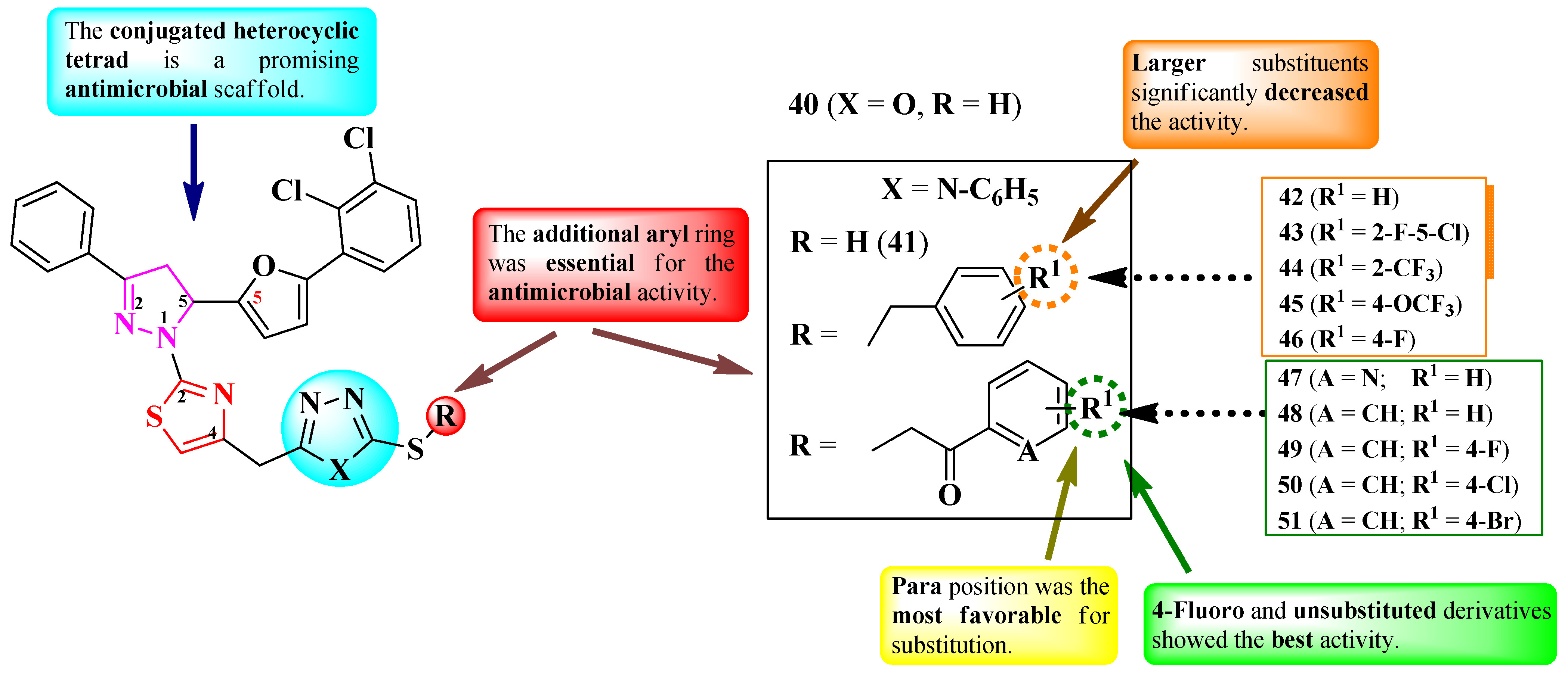 Pharmaceutics 16 00089 g010