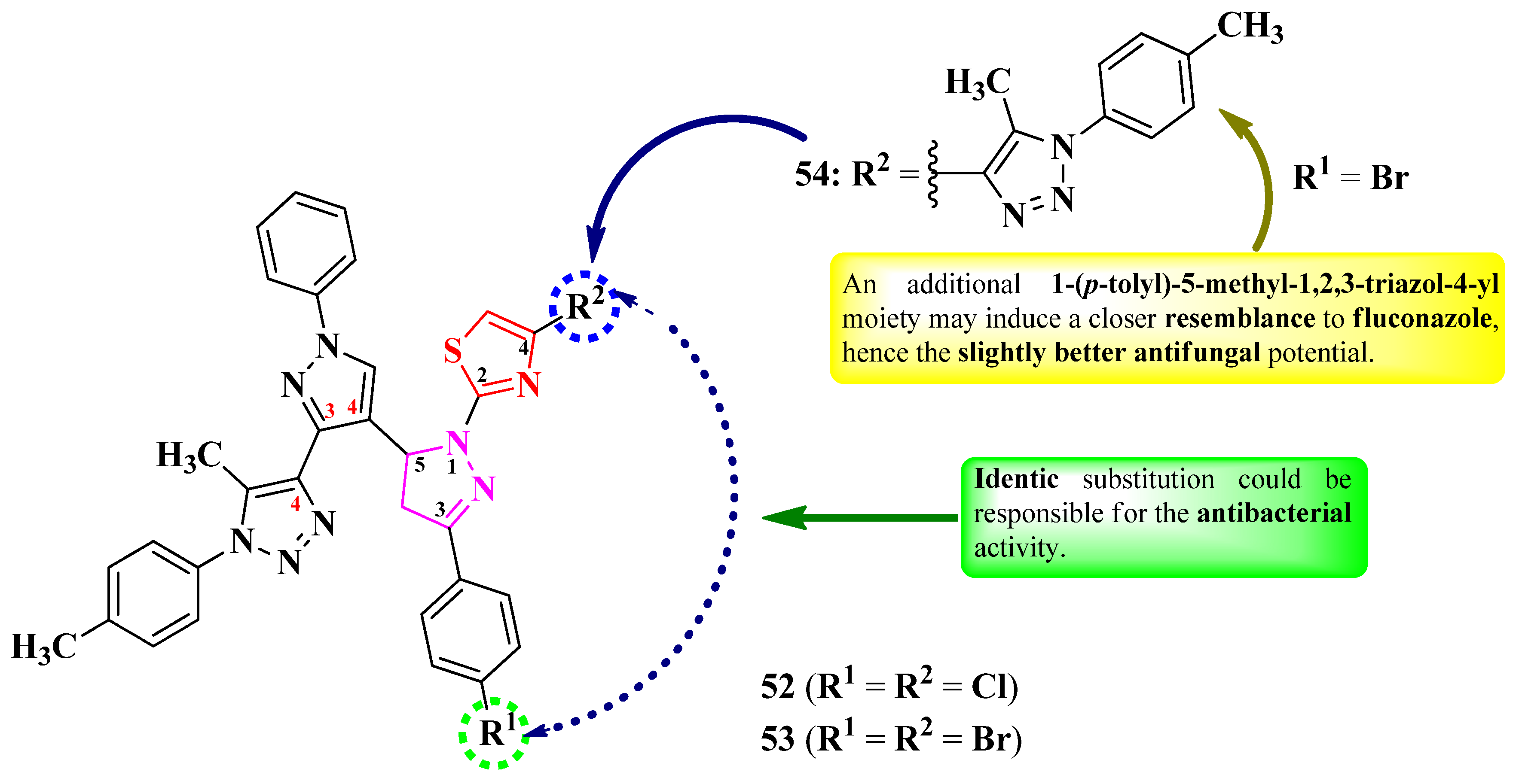 Pharmaceutics 16 00089 g011