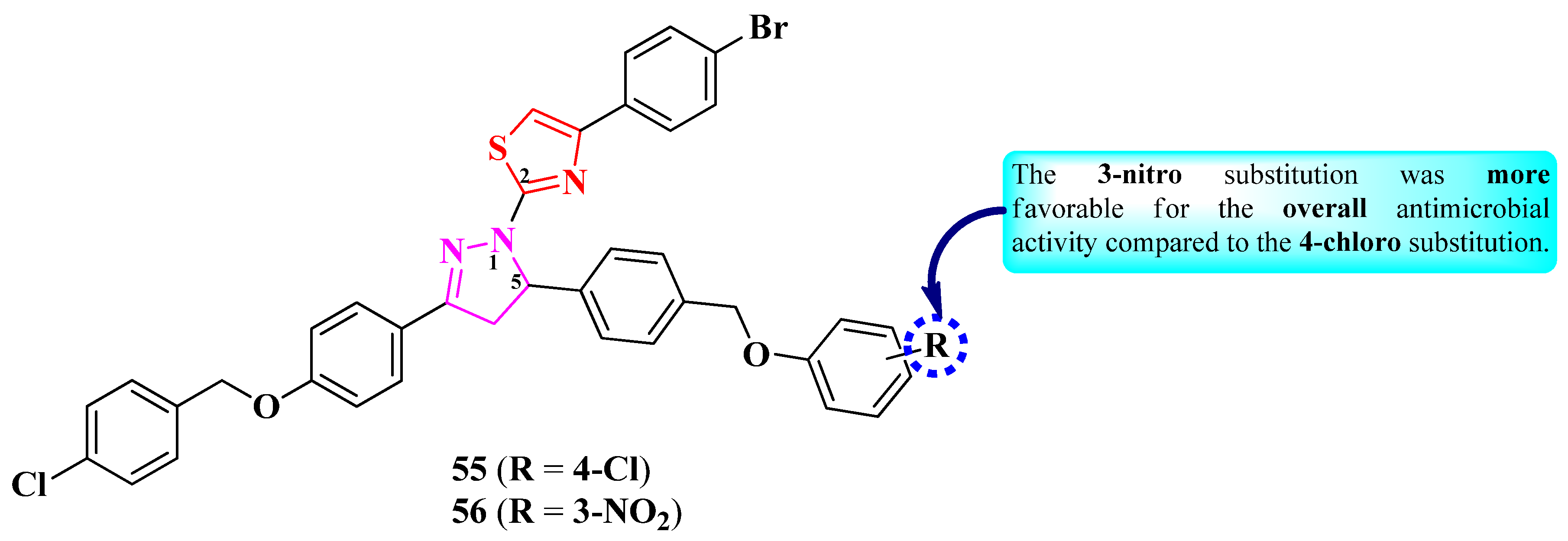 Pharmaceutics 16 00089 g012