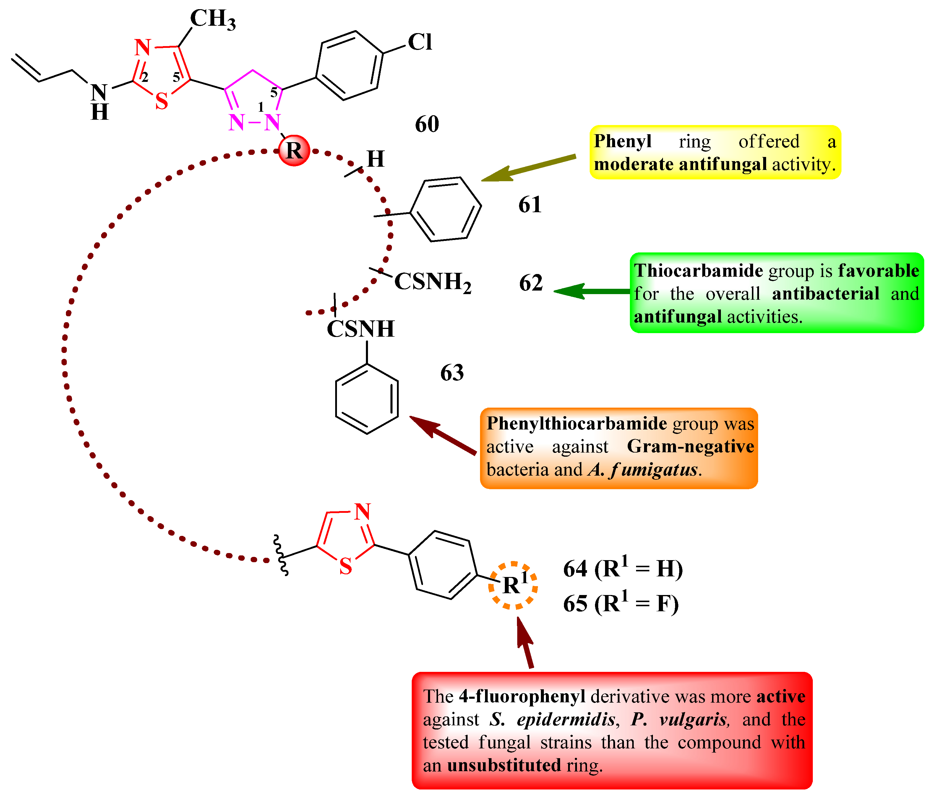 Pharmaceutics 16 00089 g014