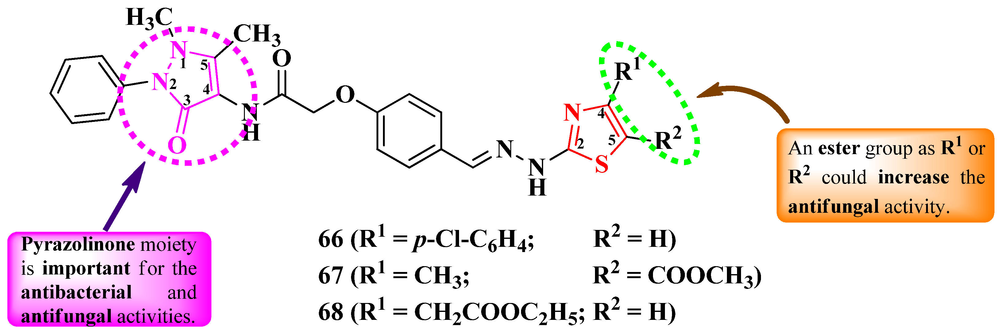 Pharmaceutics 16 00089 g016