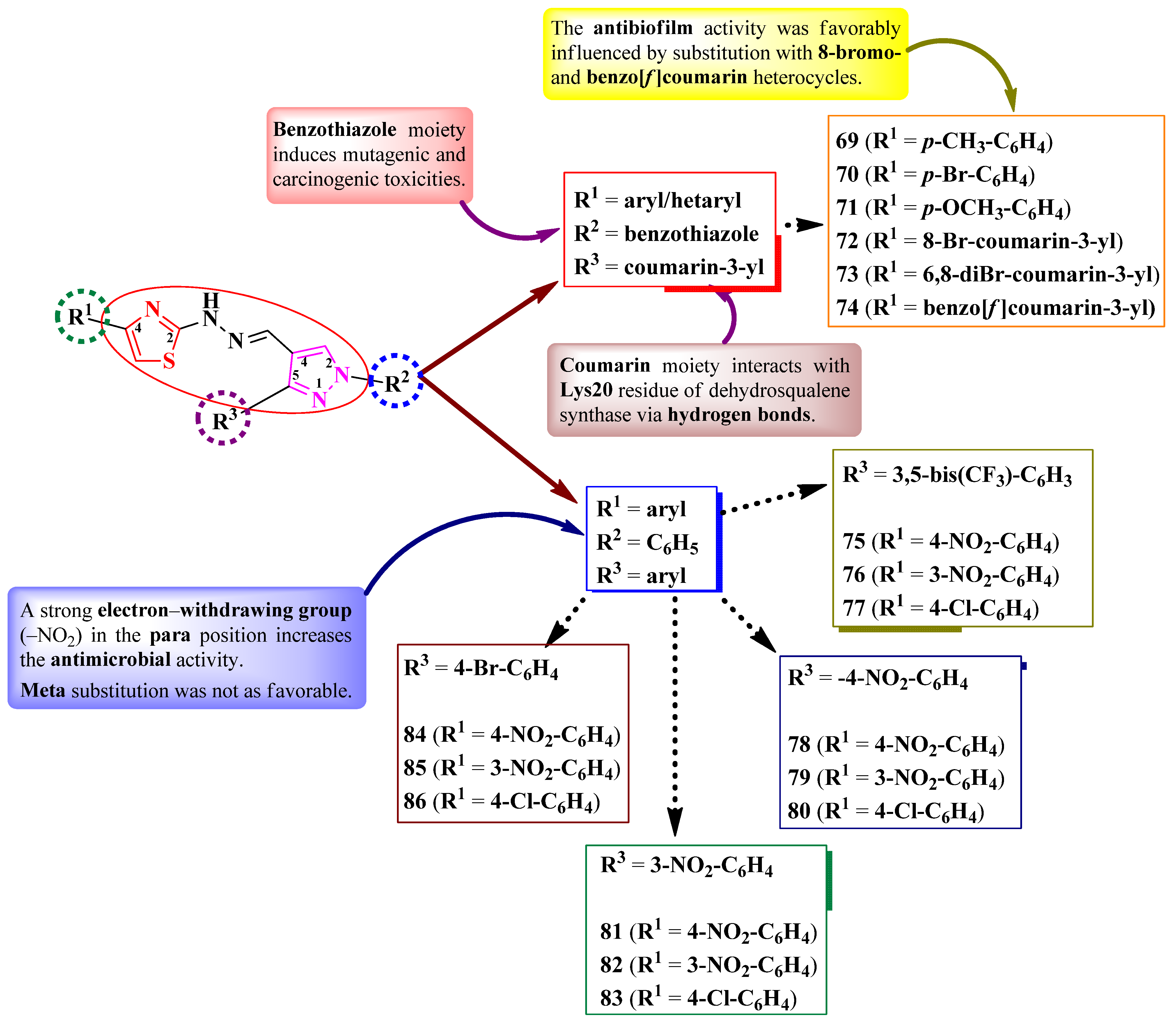 Pharmaceutics 16 00089 g018