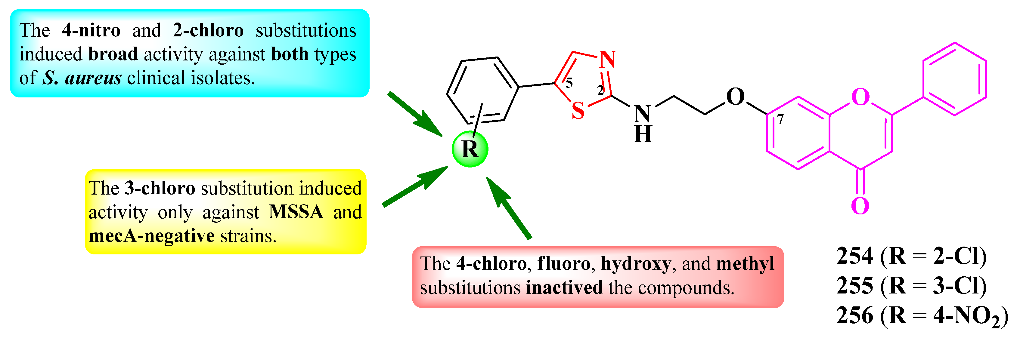 Pharmaceutics 16 00089 g047
