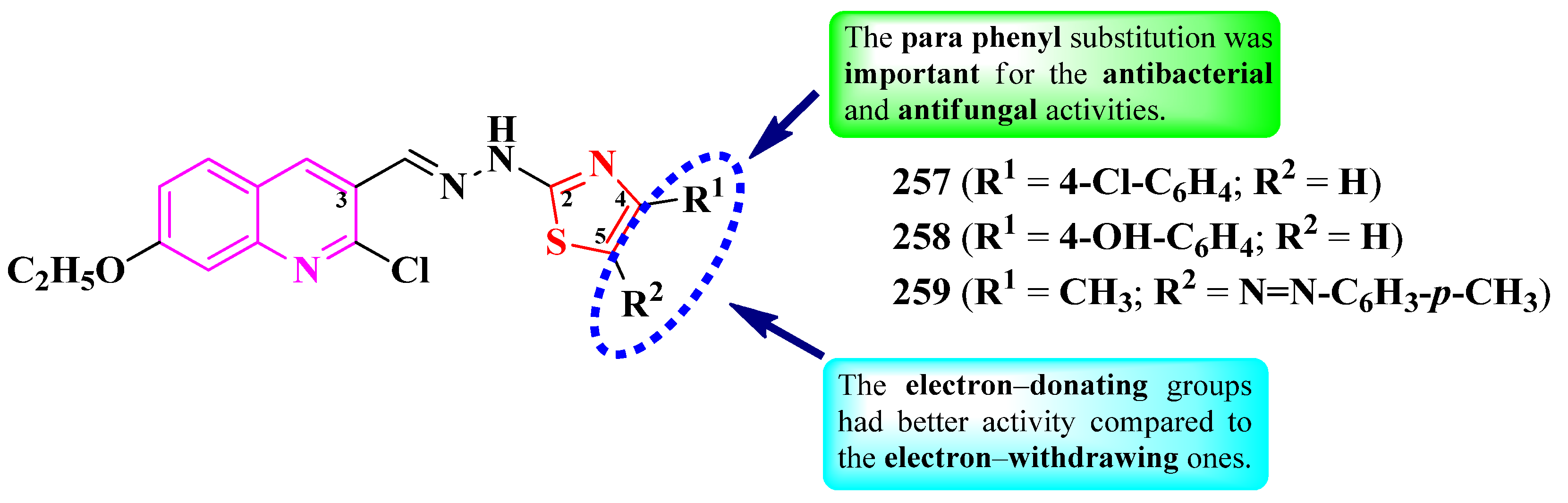 Pharmaceutics 16 00089 g048