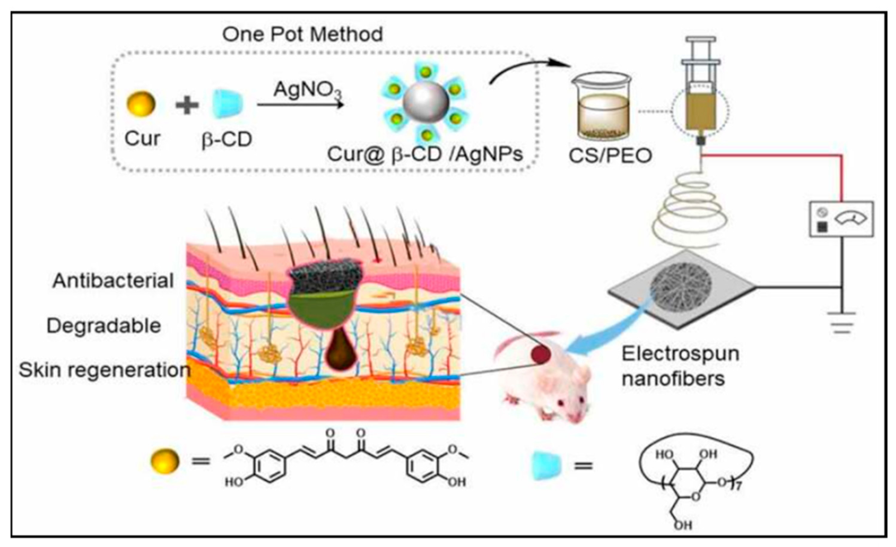 Pharmaceutics 16 00093 g004 Pharmaceutics 16 00093 g004