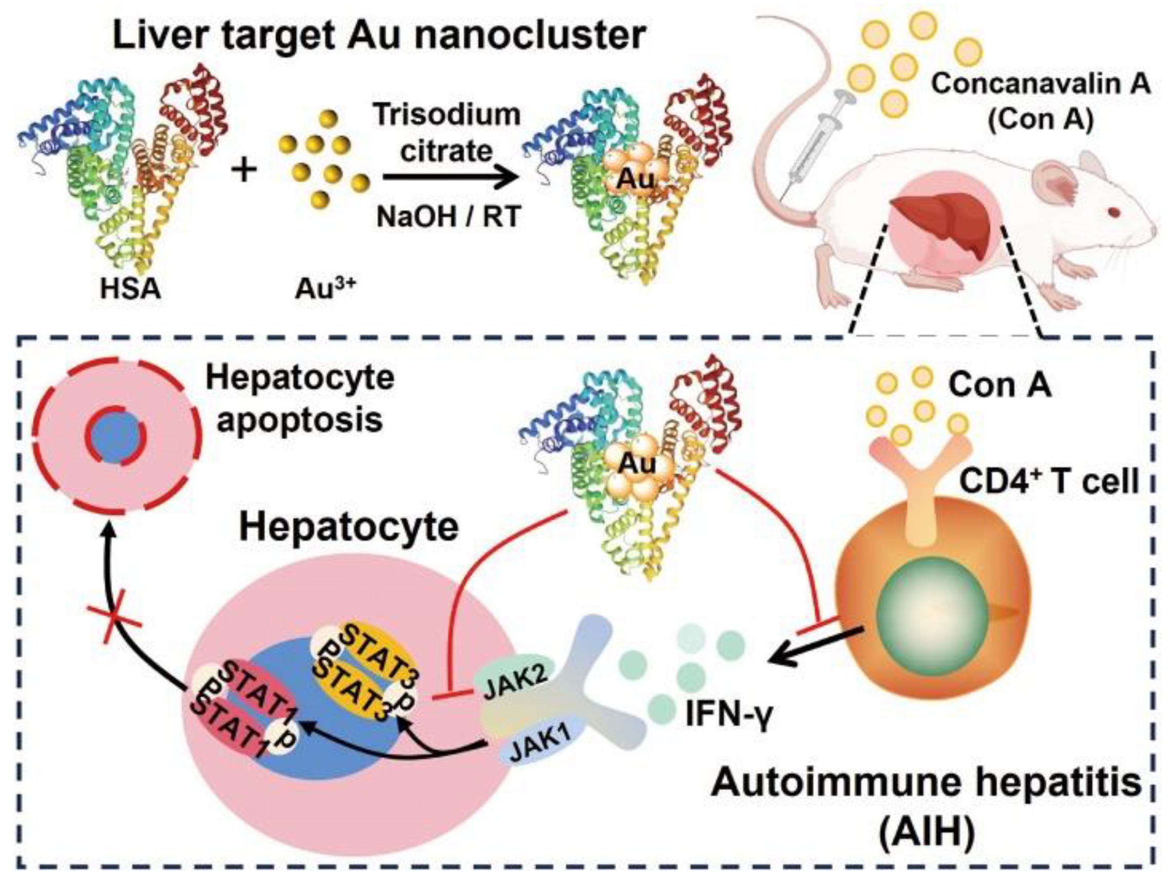 Pharmaceutics 16 00110 sch001