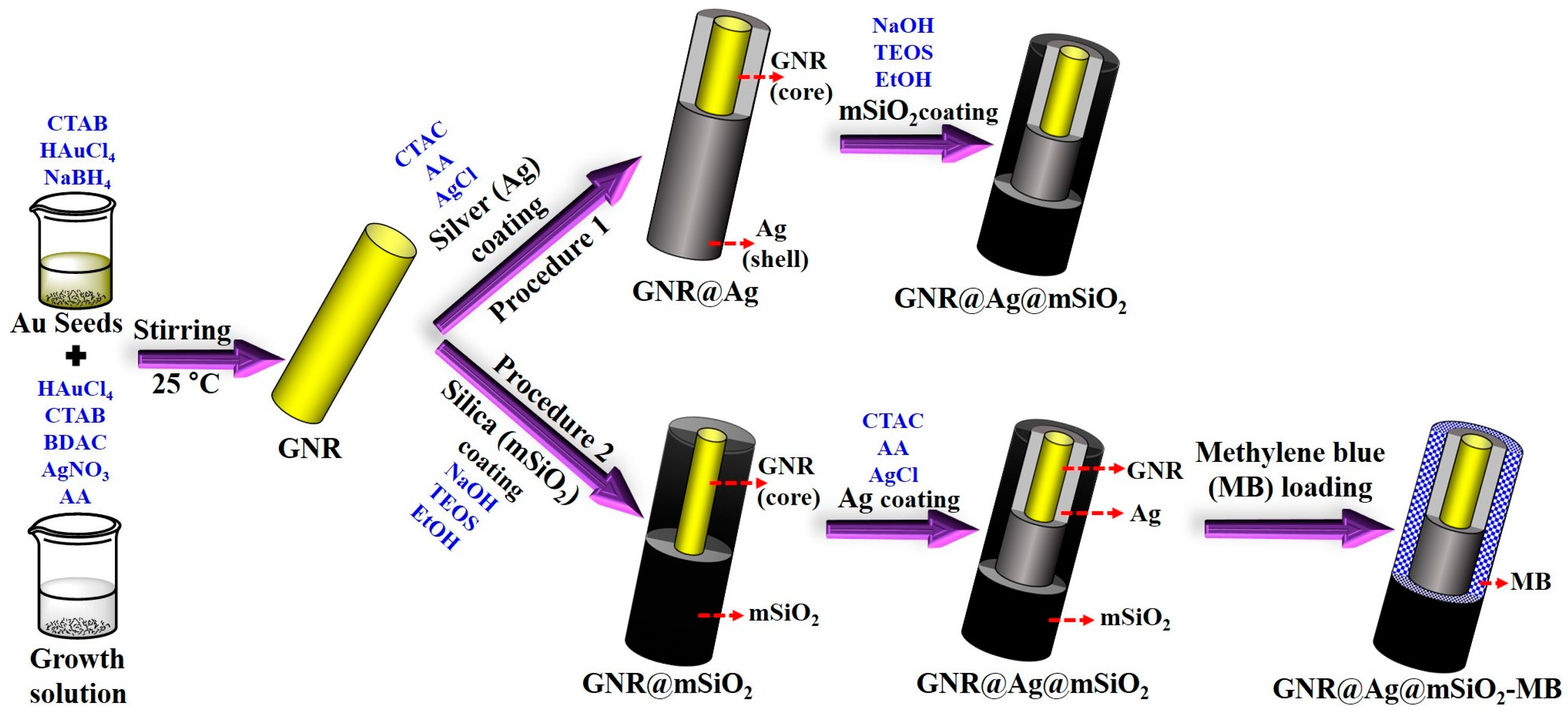 Pharmaceutics 16 00137 sch001