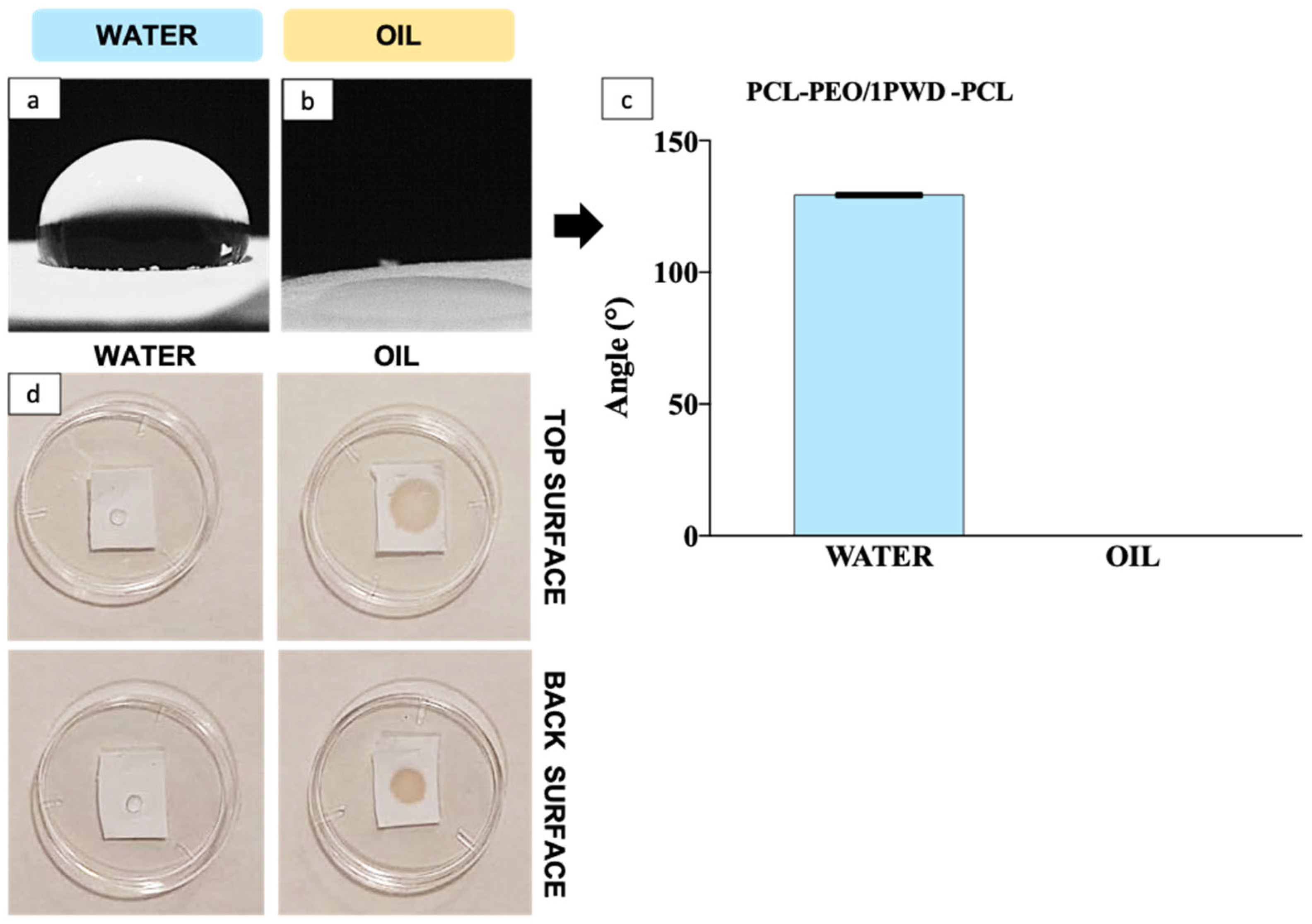 Pharmaceutics 16 00159 g004