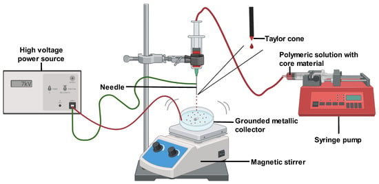 Pharmaceutics | Free Full-Text | The Fabrication of Polymer-Based ...