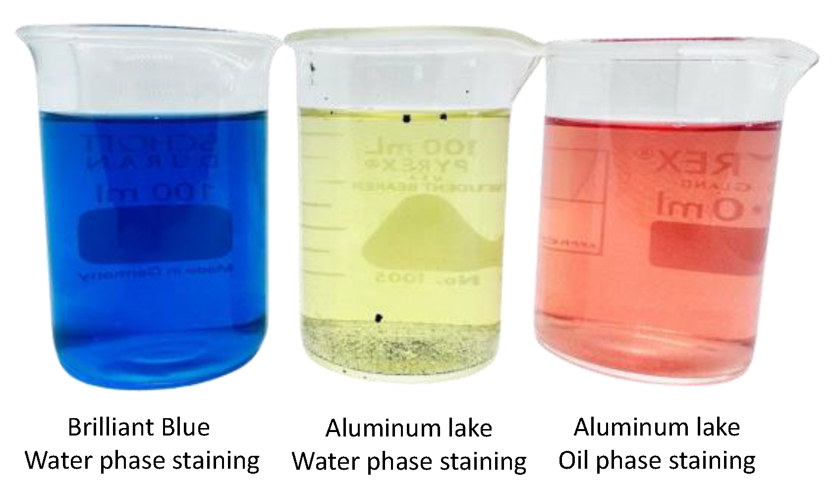 Pharmaceutics 16 00166 g003
