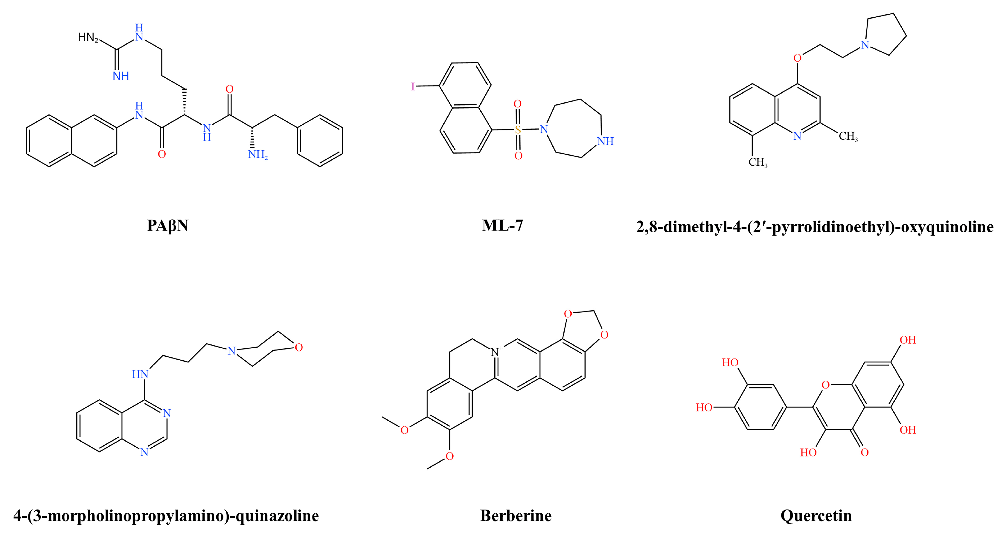 Pharmaceutics 16 00170 g003 Pharmaceutics 16 00170 g003