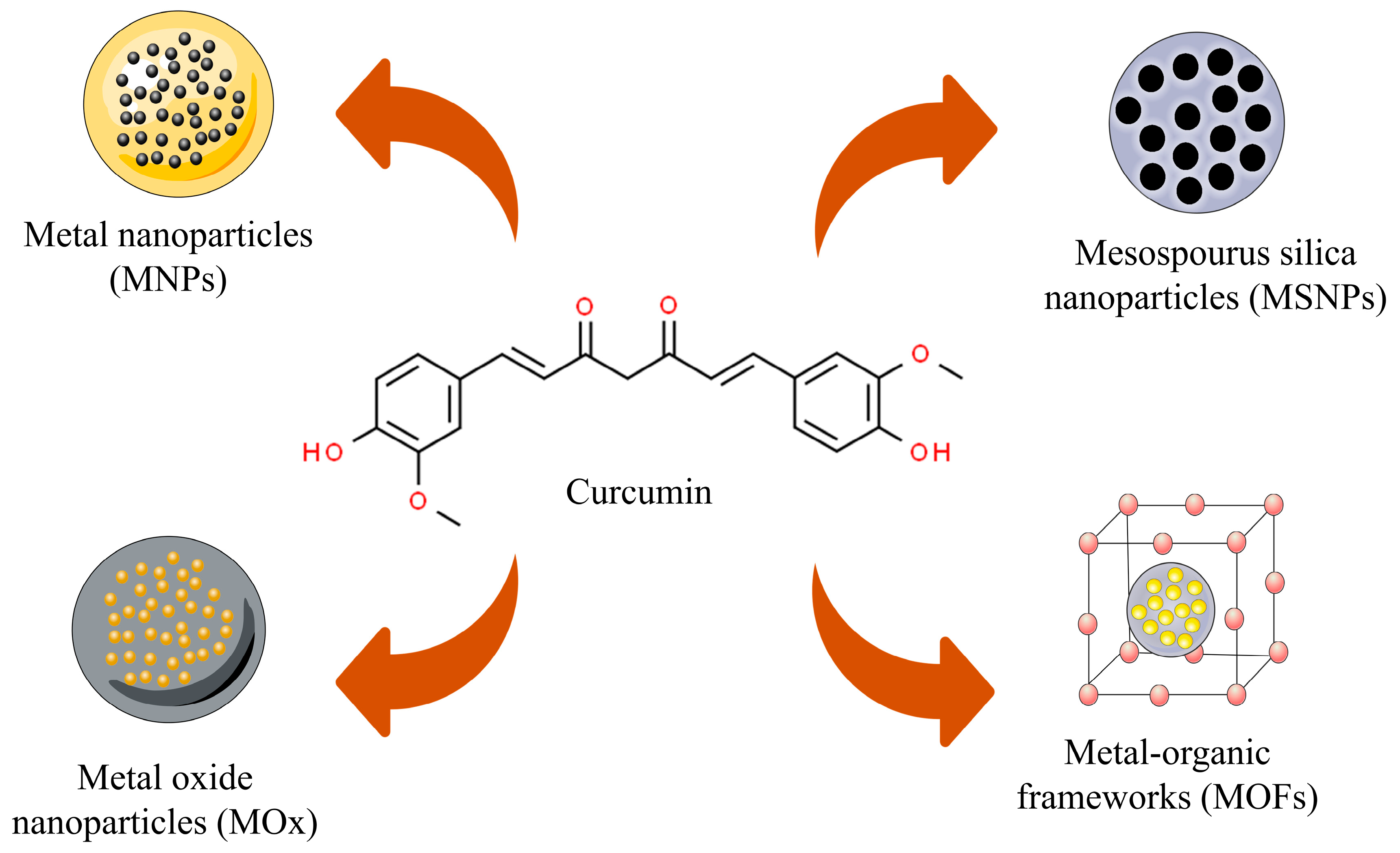 Pharmaceutics 16 00177 g001