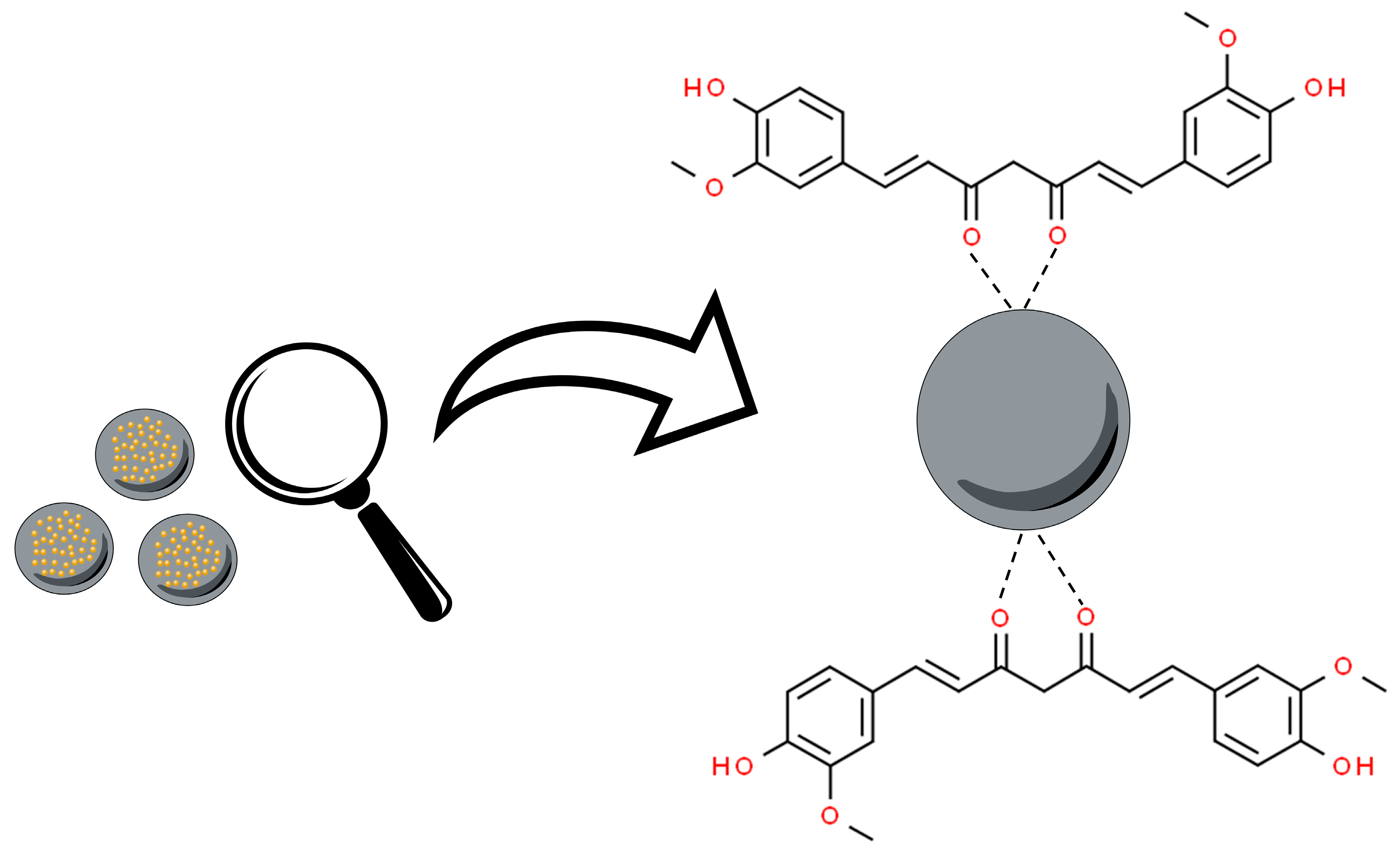 Pharmaceutics 16 00177 g003