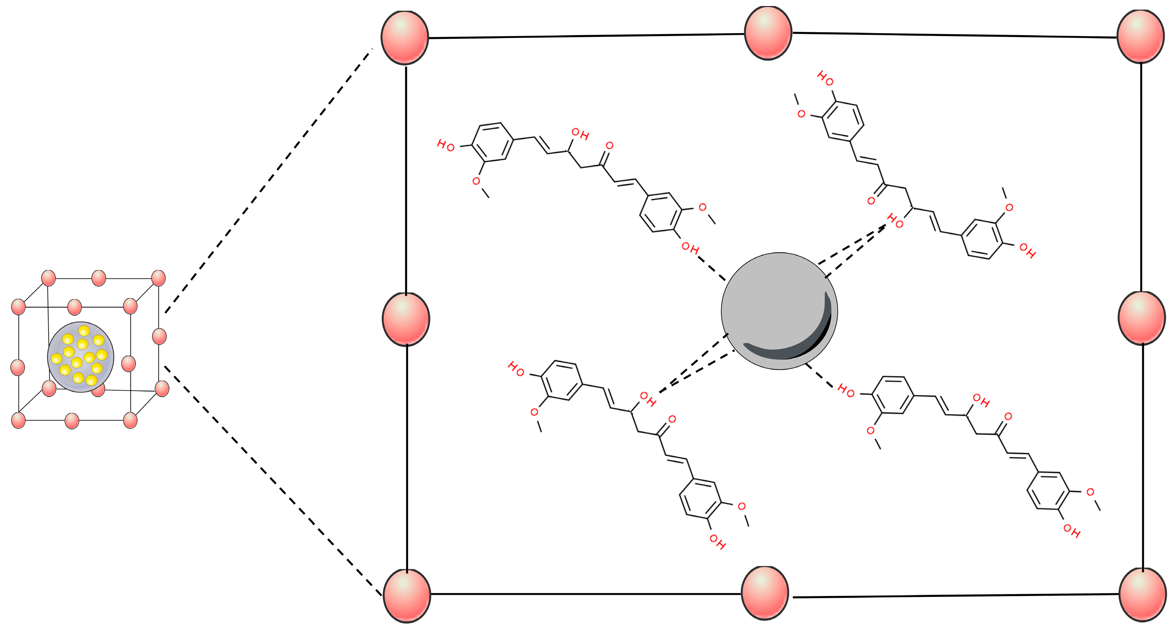 Pharmaceutics 16 00177 g005