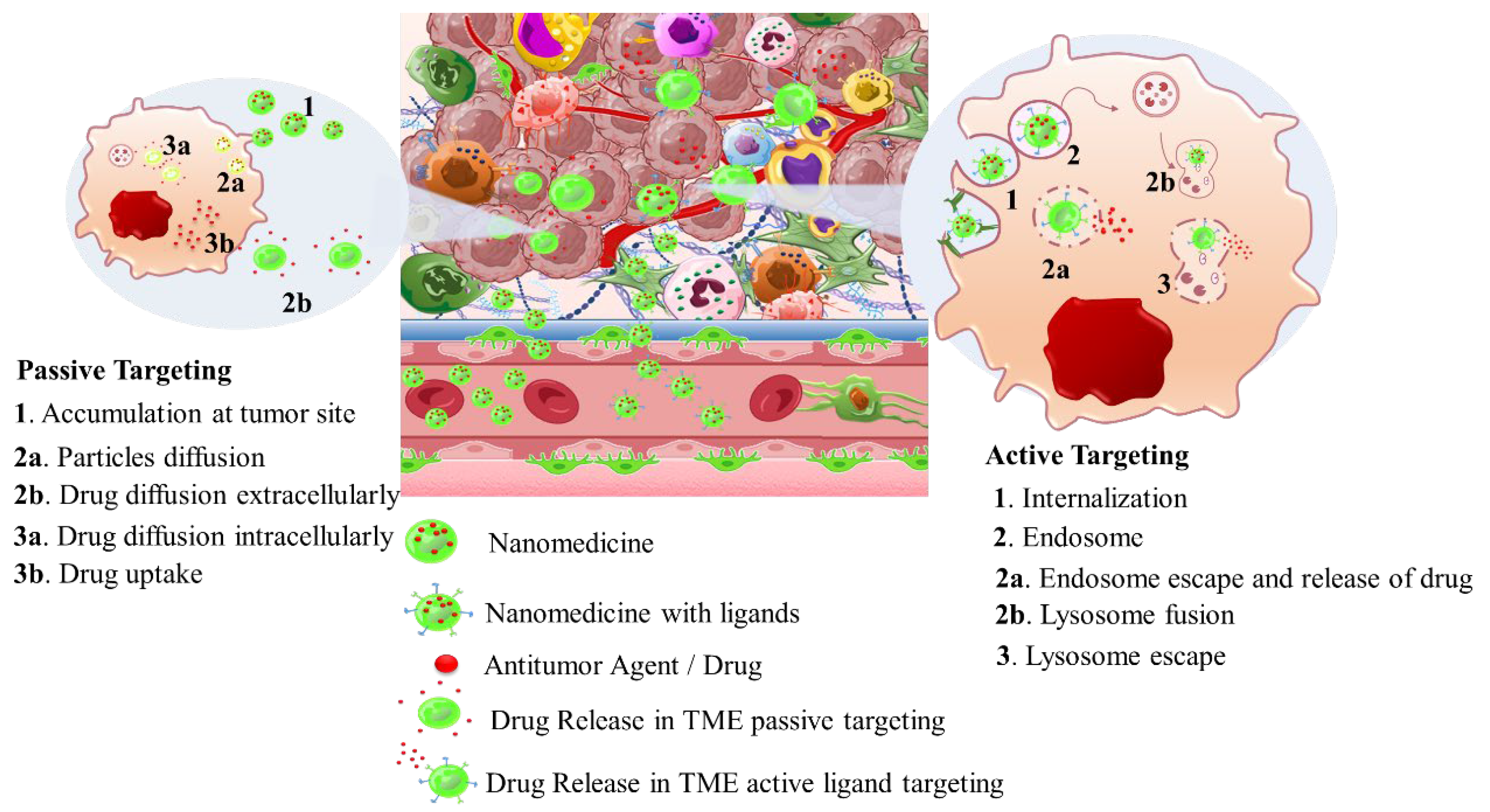 Pharmaceutics 16 00179 sch002