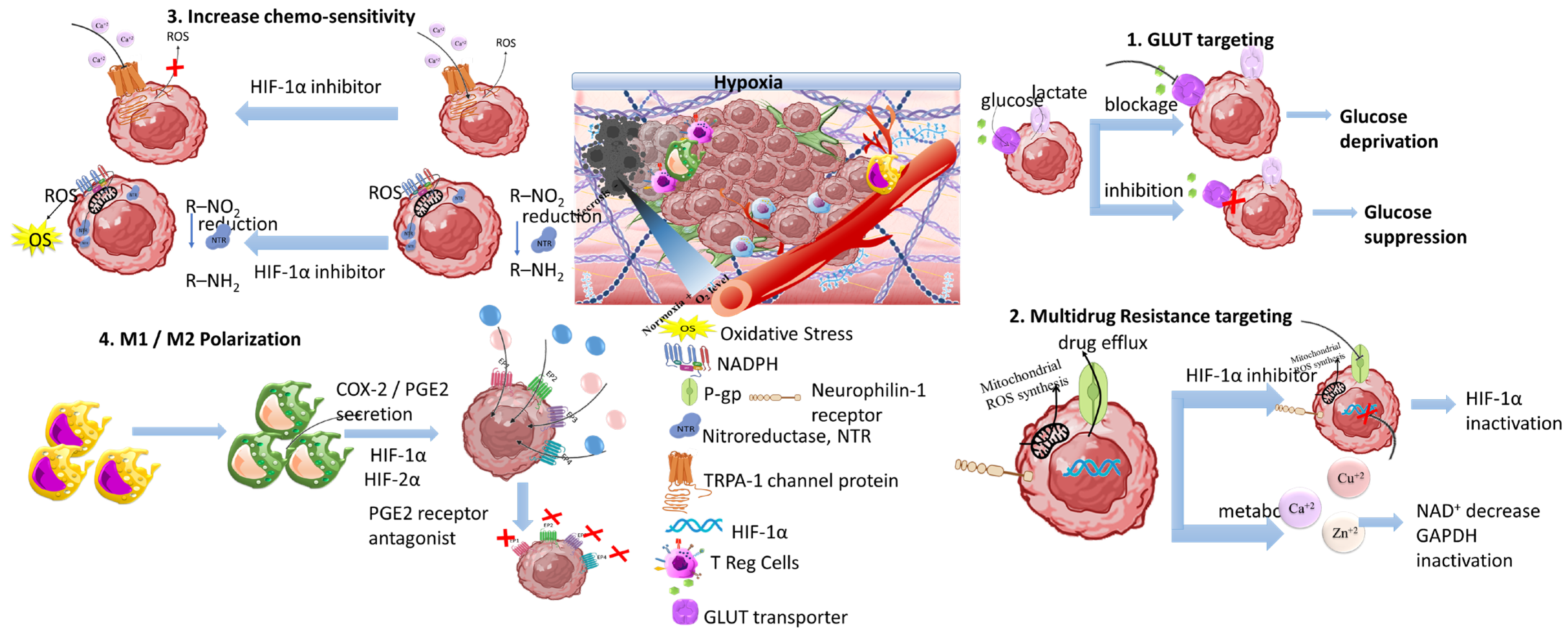 Pharmaceutics 16 00179 sch009