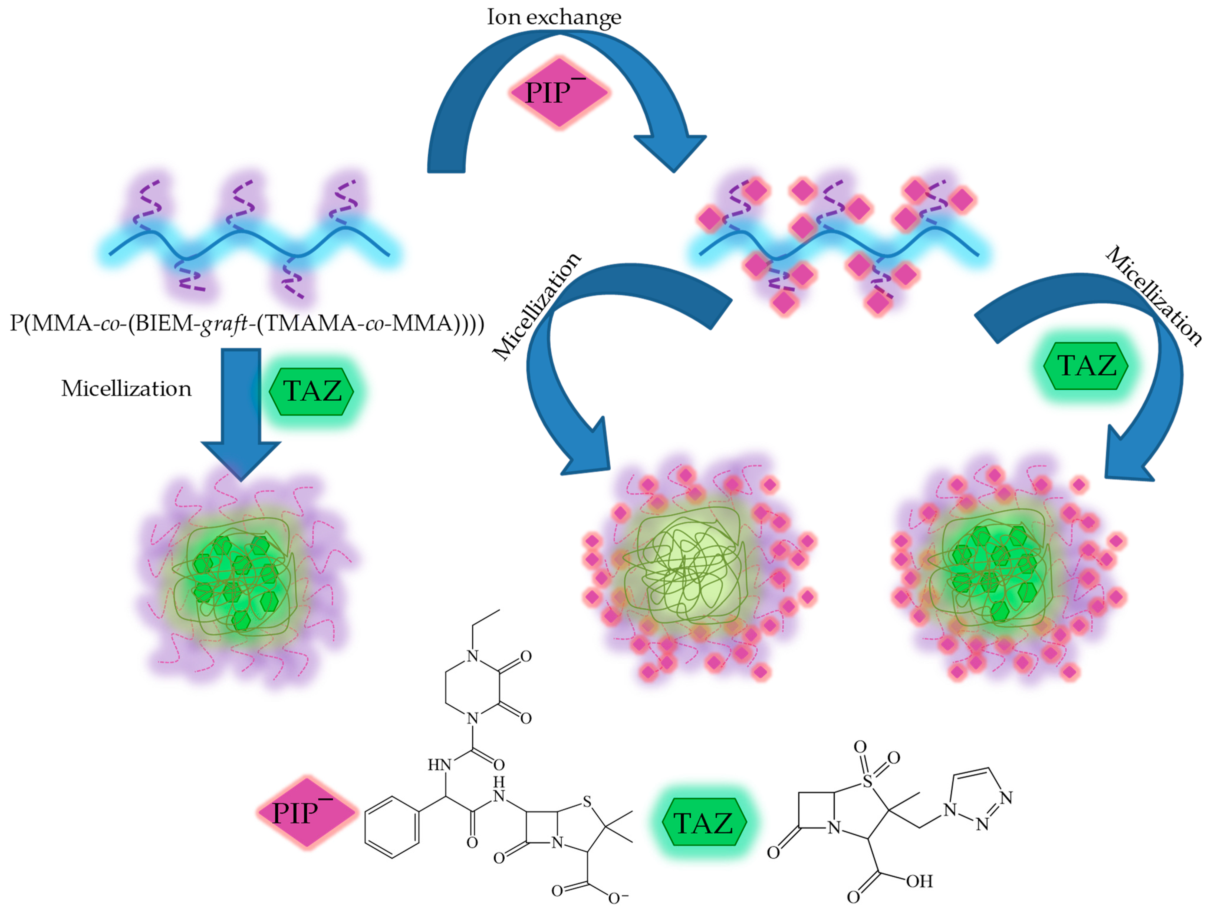 Pharmaceutics 16 00198 sch001