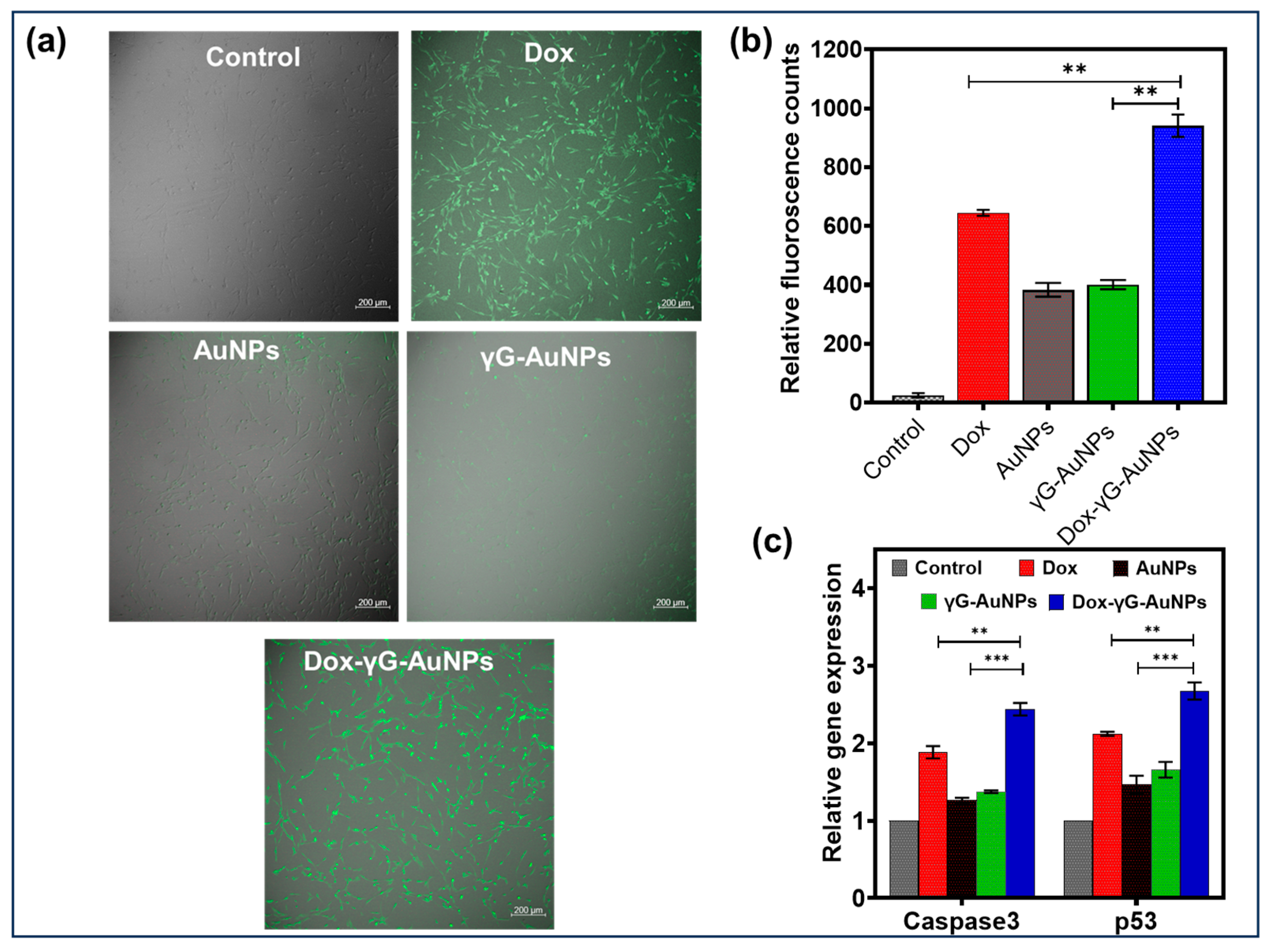Pharmaceutics 16 00208 g007