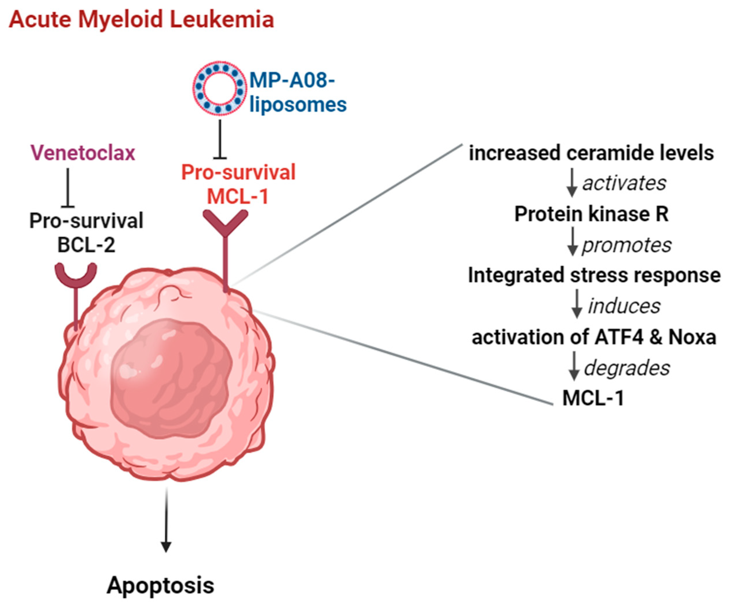 Pharmaceutics 16 00209 g006