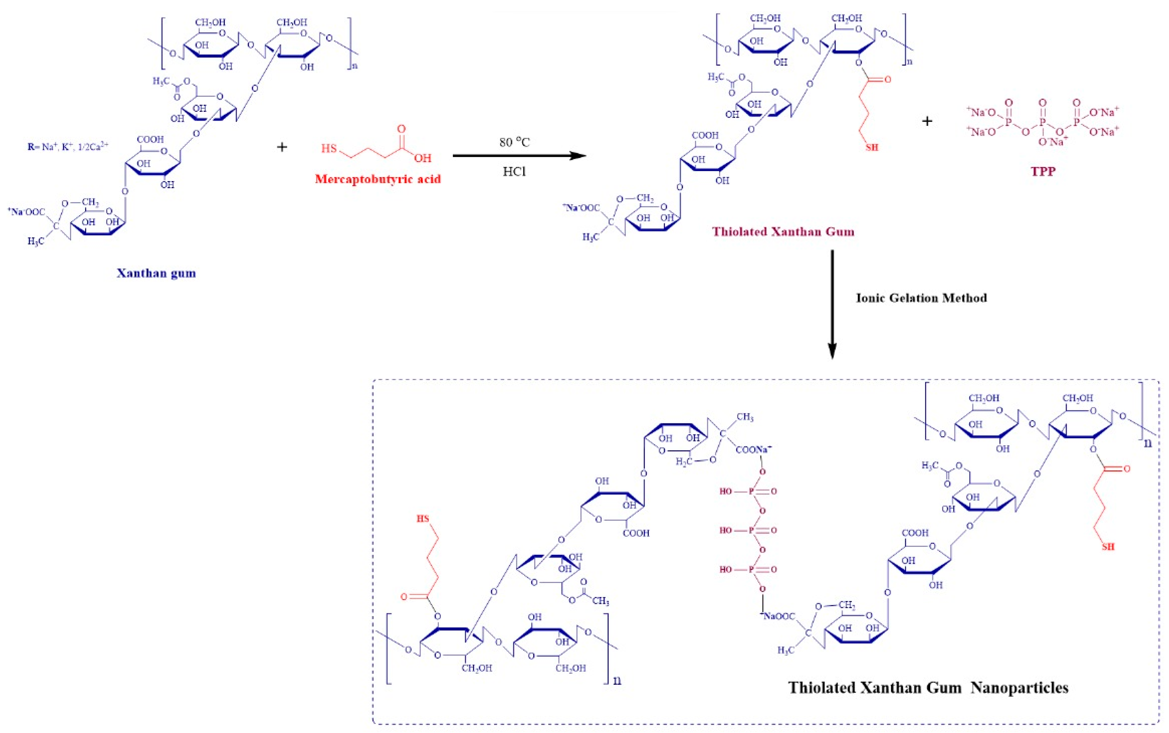 Pharmaceutics 16 00225 g001 Pharmaceutics 16 00225 g001
