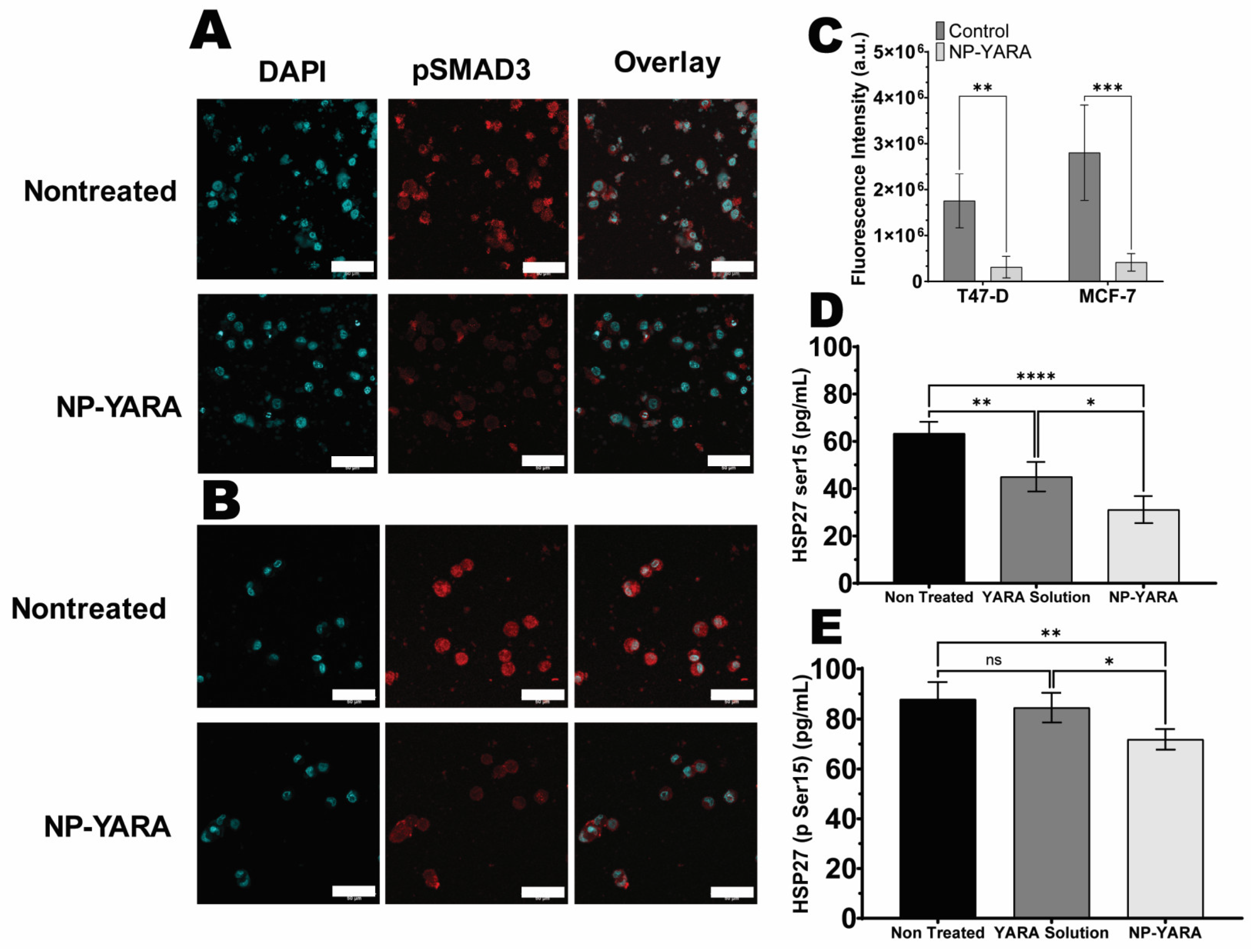 Pharmaceutics 16 00231 g003 Pharmaceutics 16 00231 g003