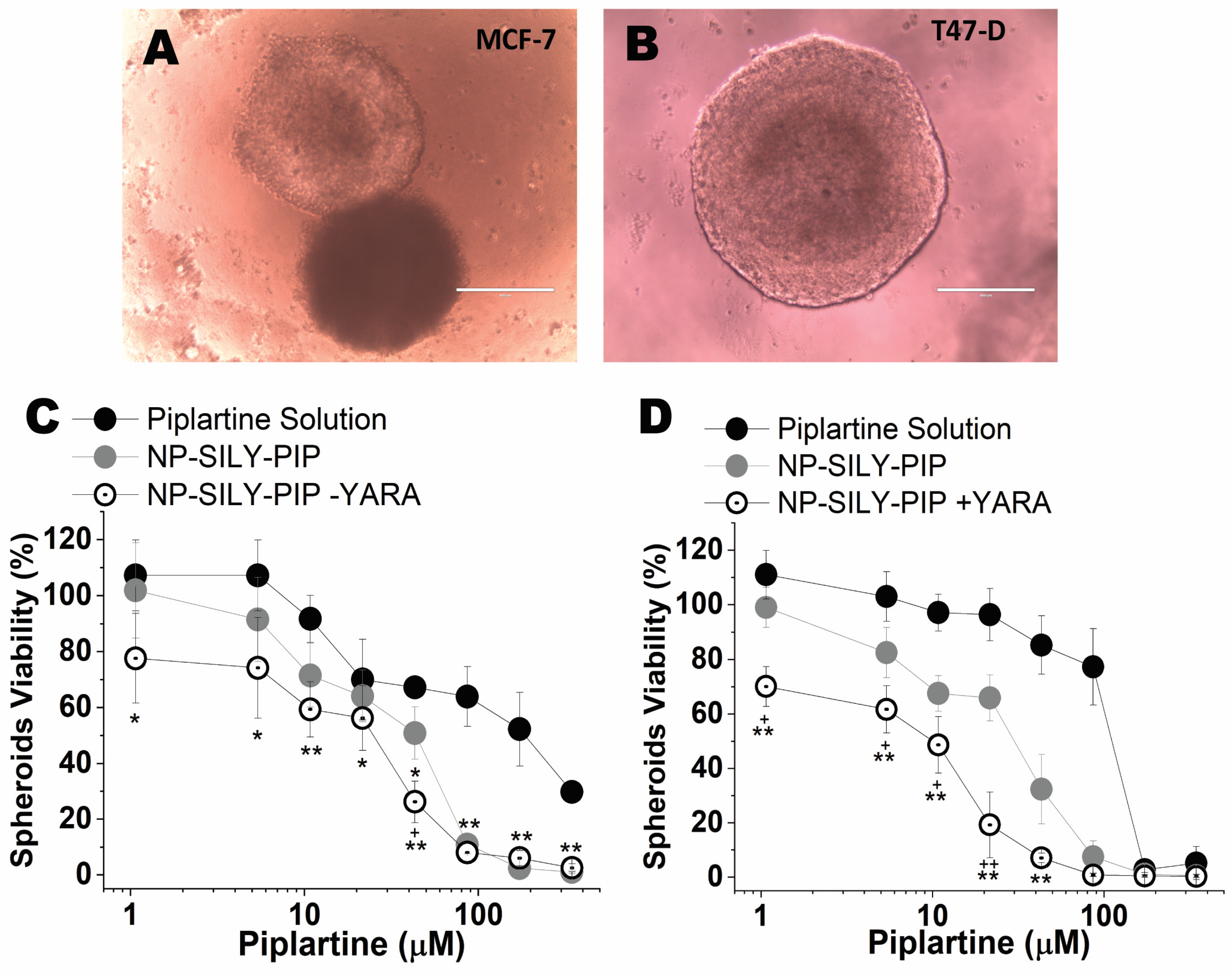 Pharmaceutics 16 00231 g005 Pharmaceutics 16 00231 g005