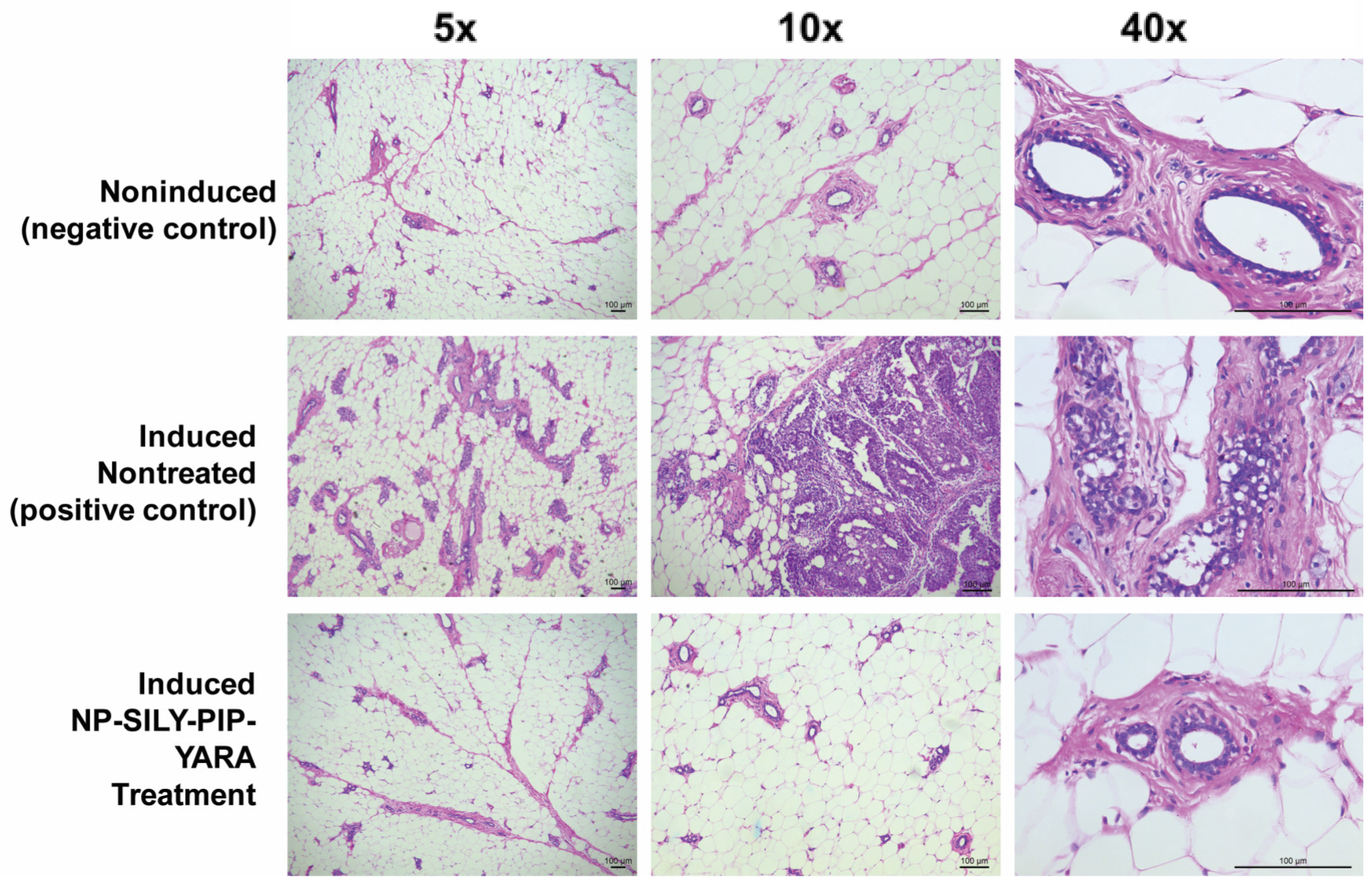 Pharmaceutics 16 00231 g008 Pharmaceutics 16 00231 g008