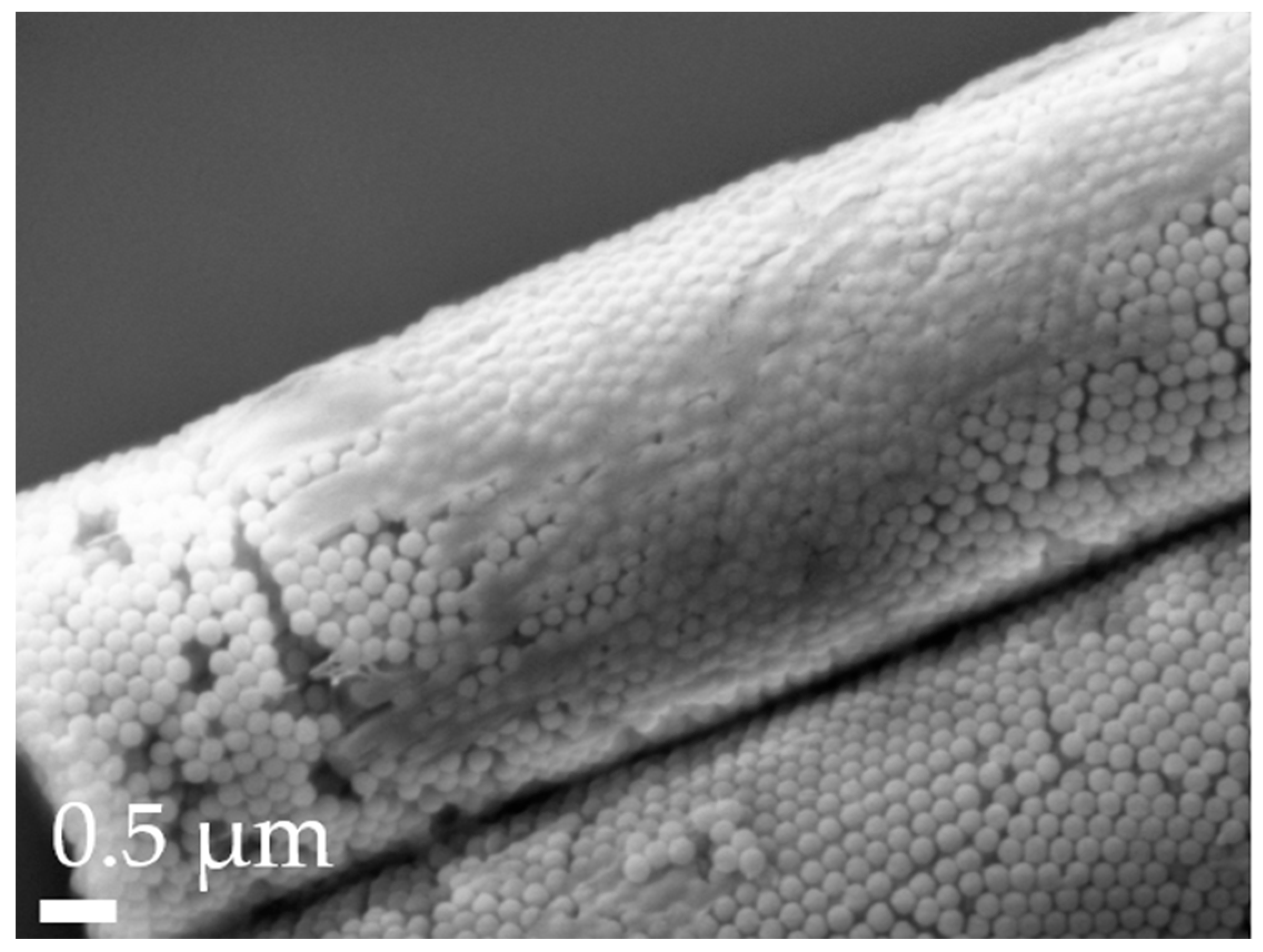 Pharmaceutics 16 00232 g006