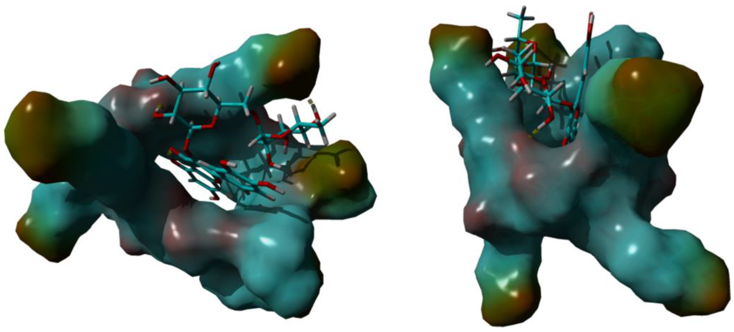 Pharmaceutics 16 00233 g005