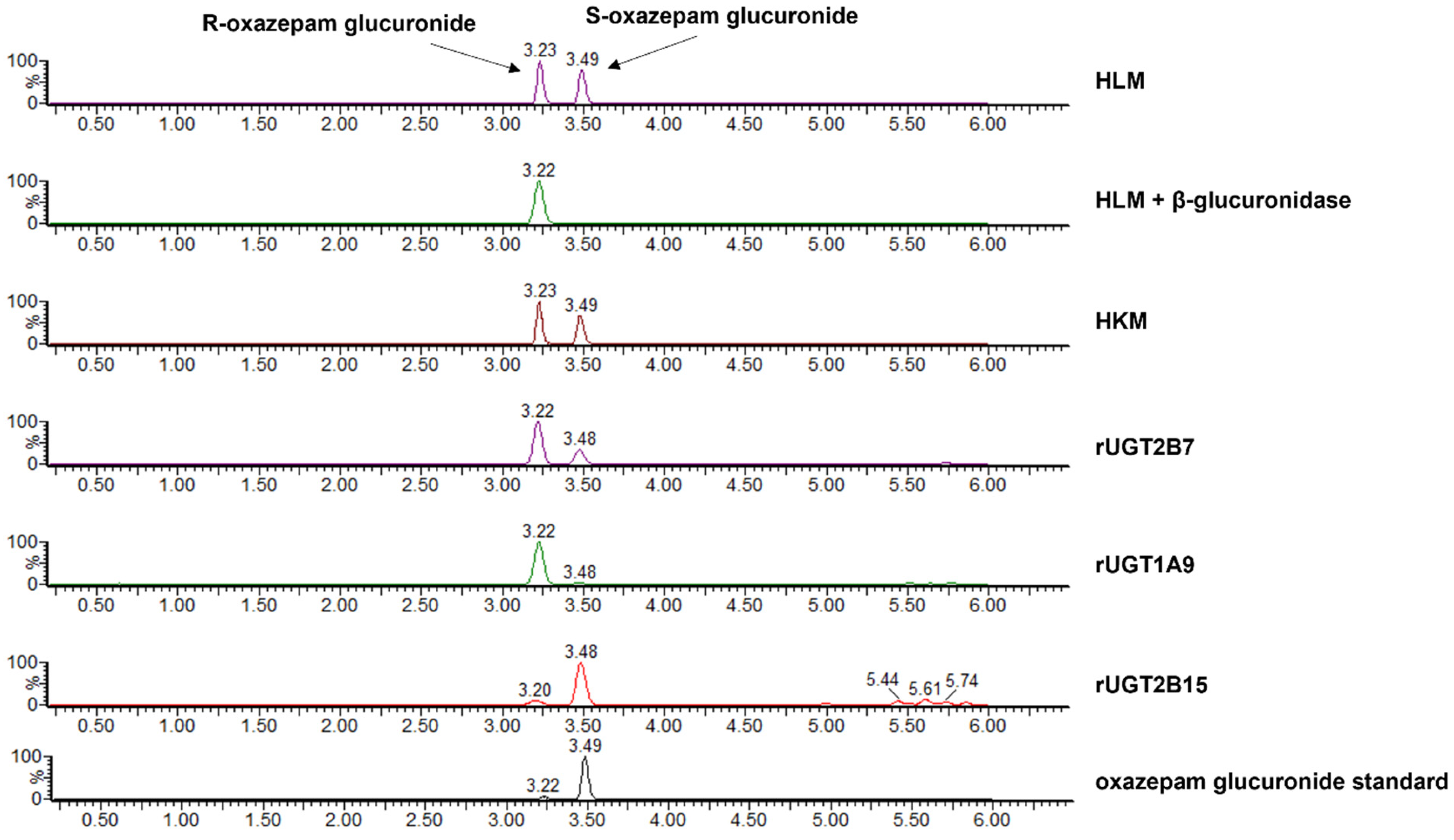 Pharmaceutics 16 00243 g002