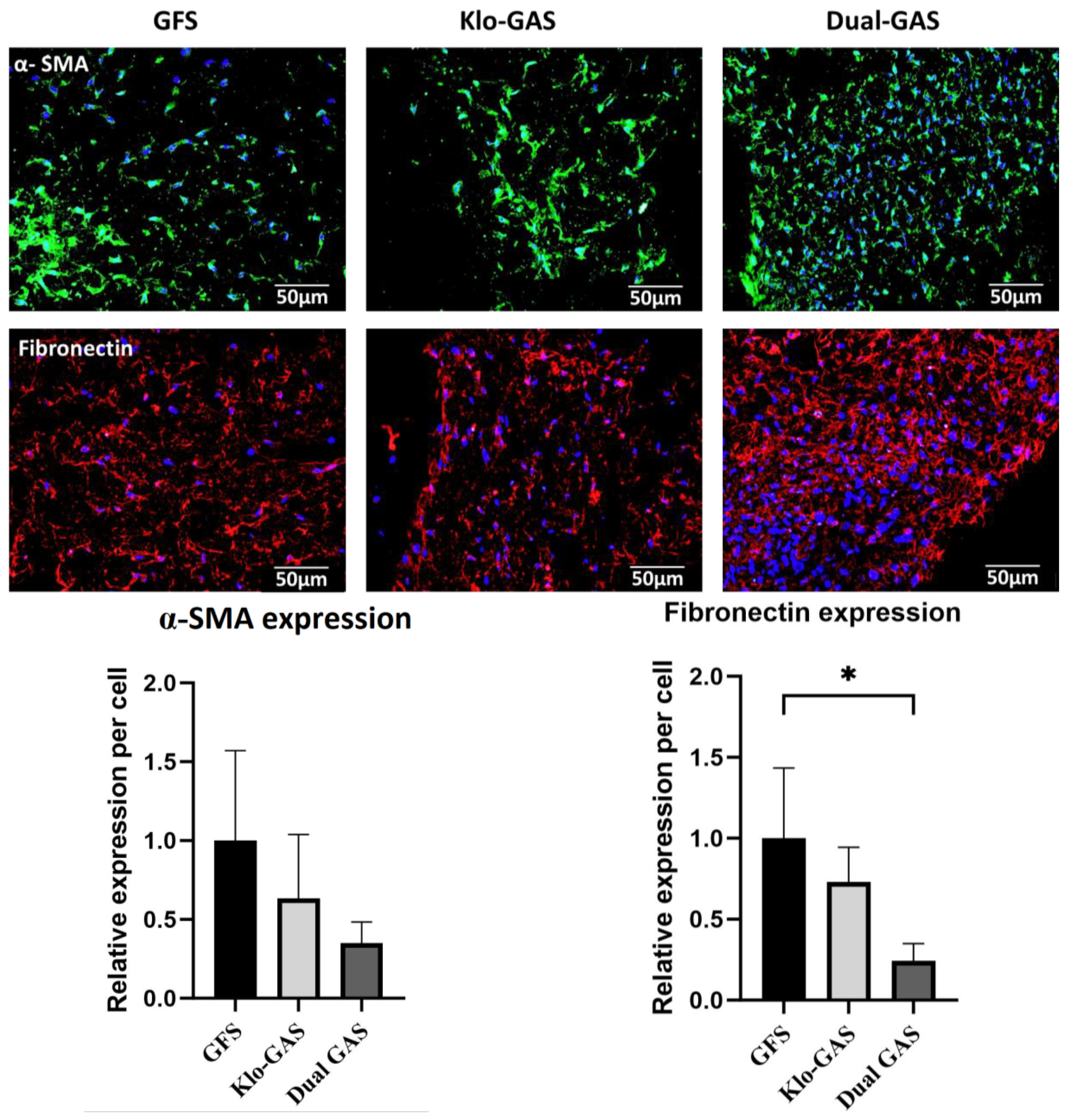 Pharmaceutics 16 00265 g002