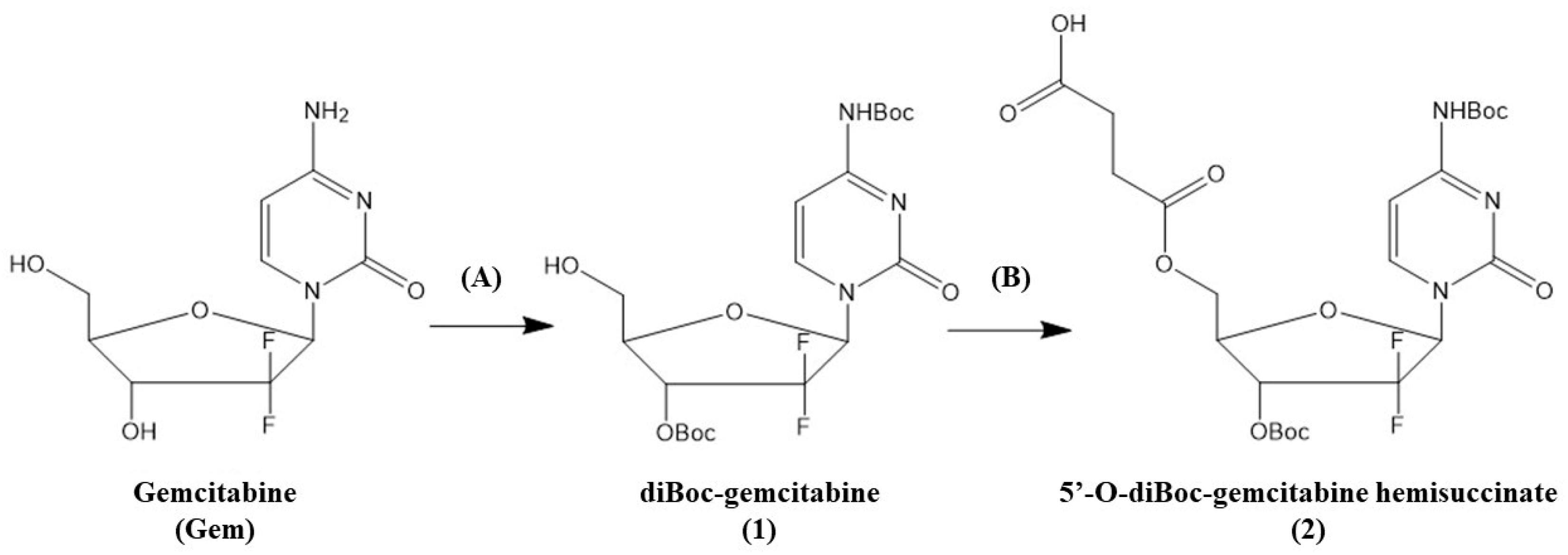 Pharmaceutics 16 00283 g002 Pharmaceutics 16 00283 g002