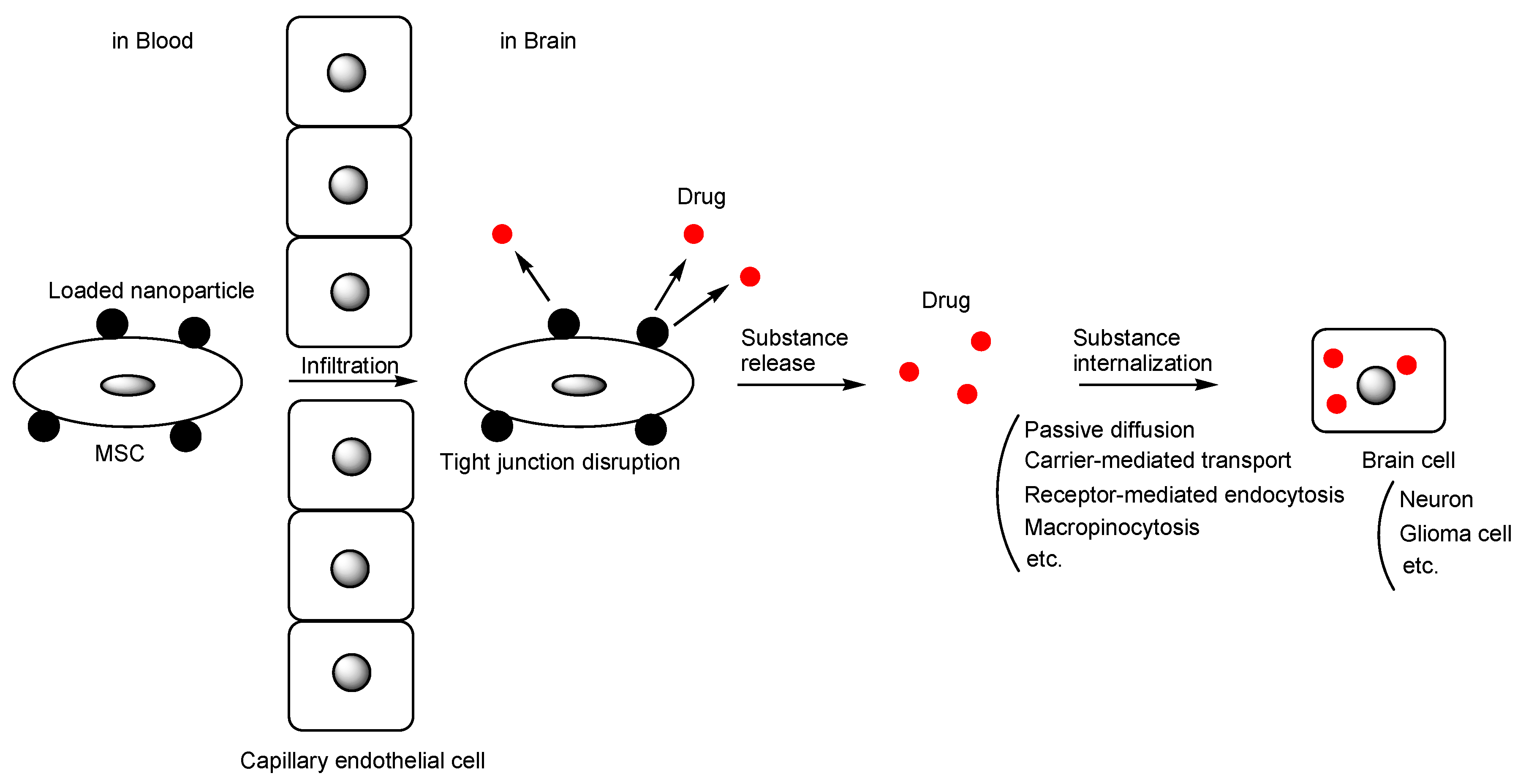 Pharmaceutics 16 00289 g005