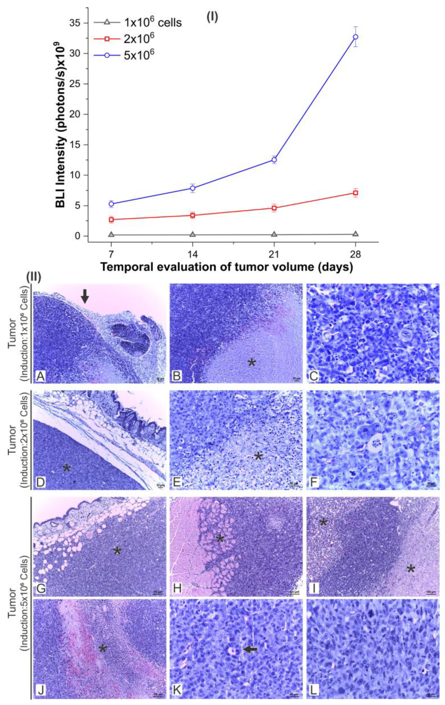 Pharmaceutics 16 00310 g006
