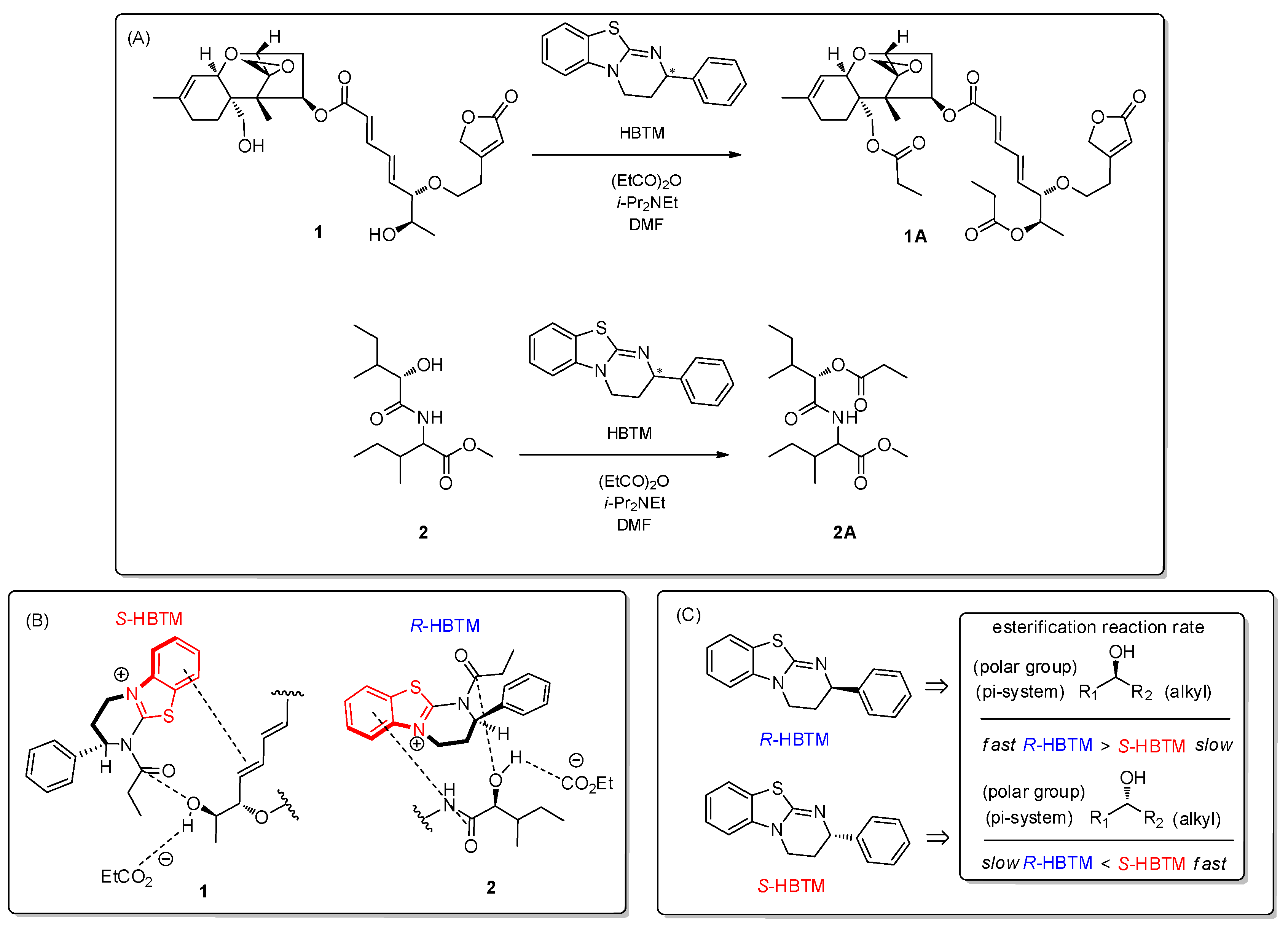 Pharmaceutics 16 00364 g003