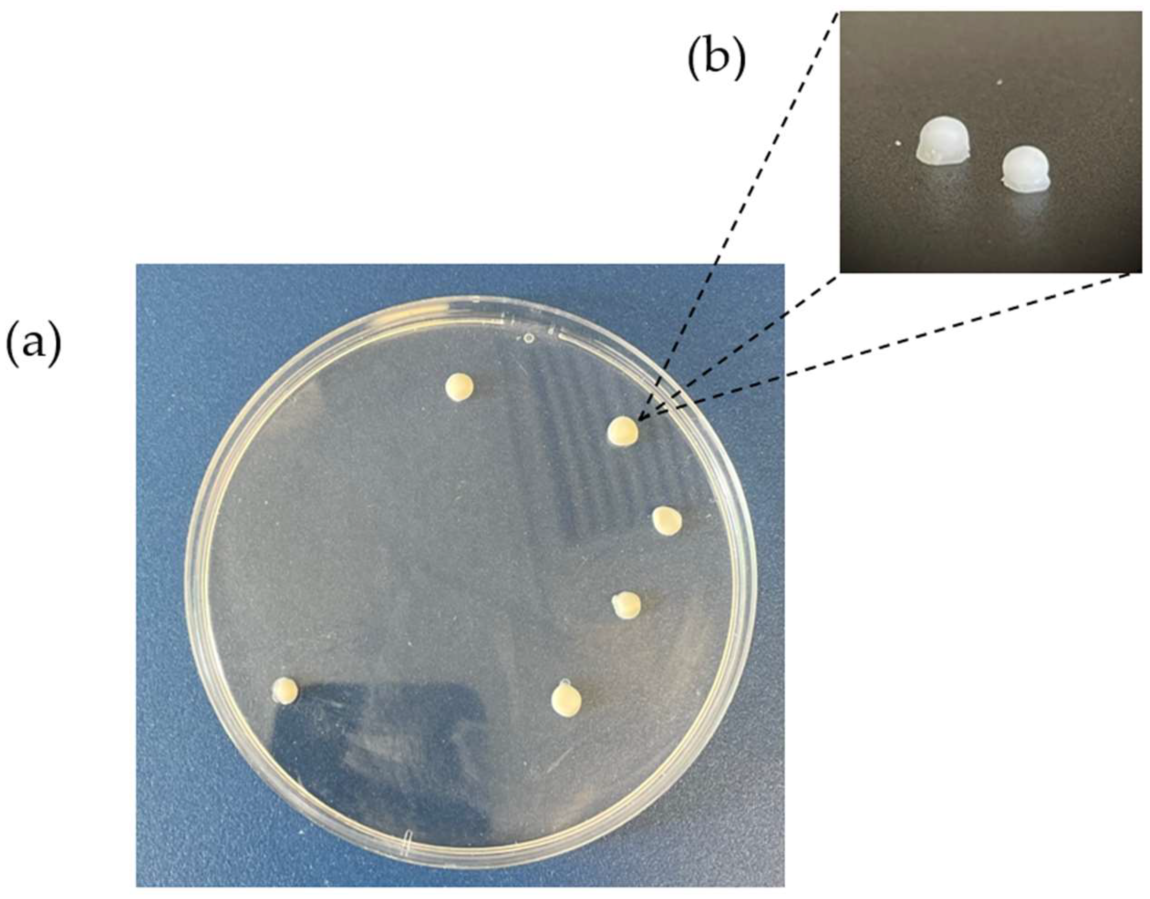 Pharmaceutics 16 00385 g002
