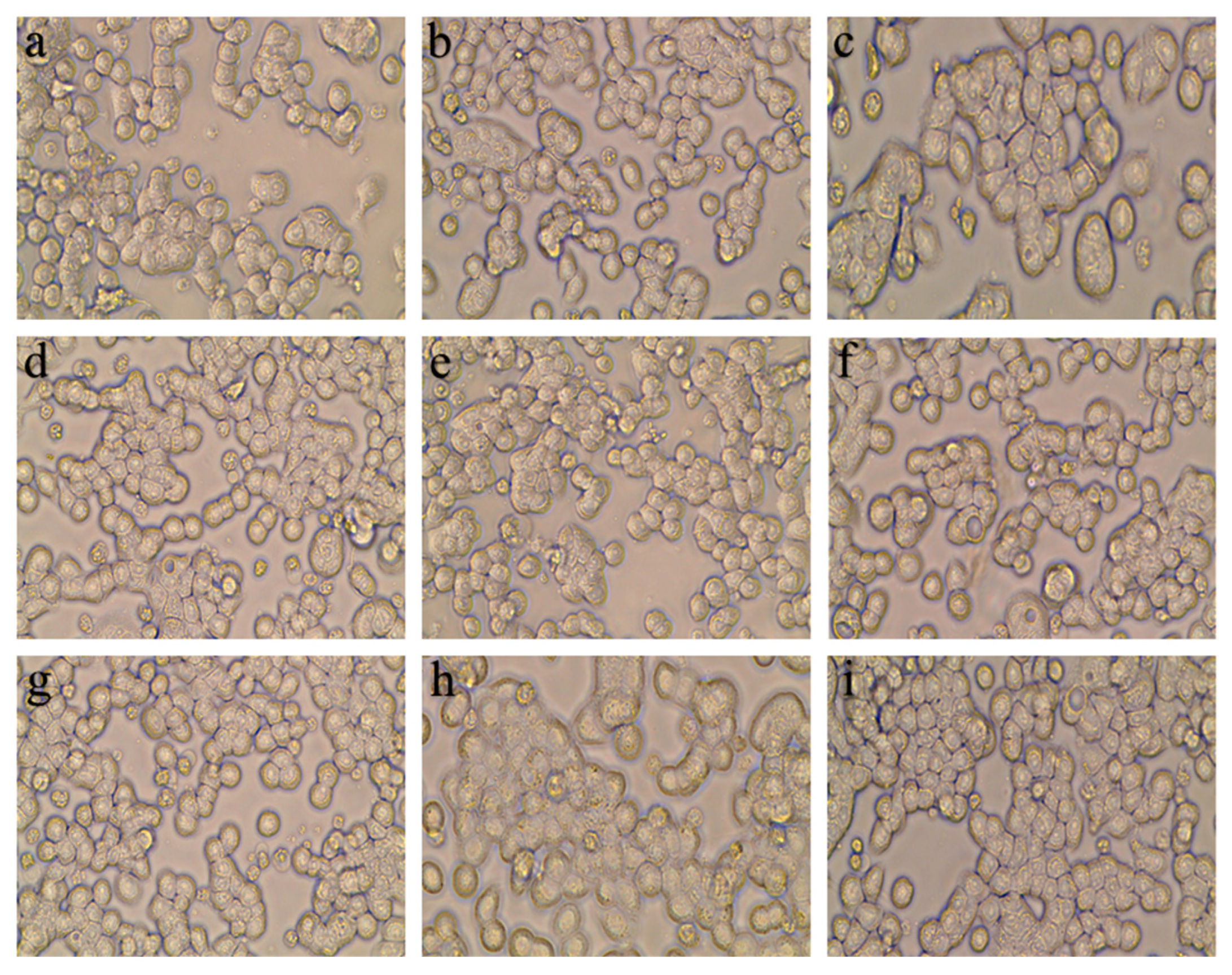 Pharmaceutics 16 00397 g003