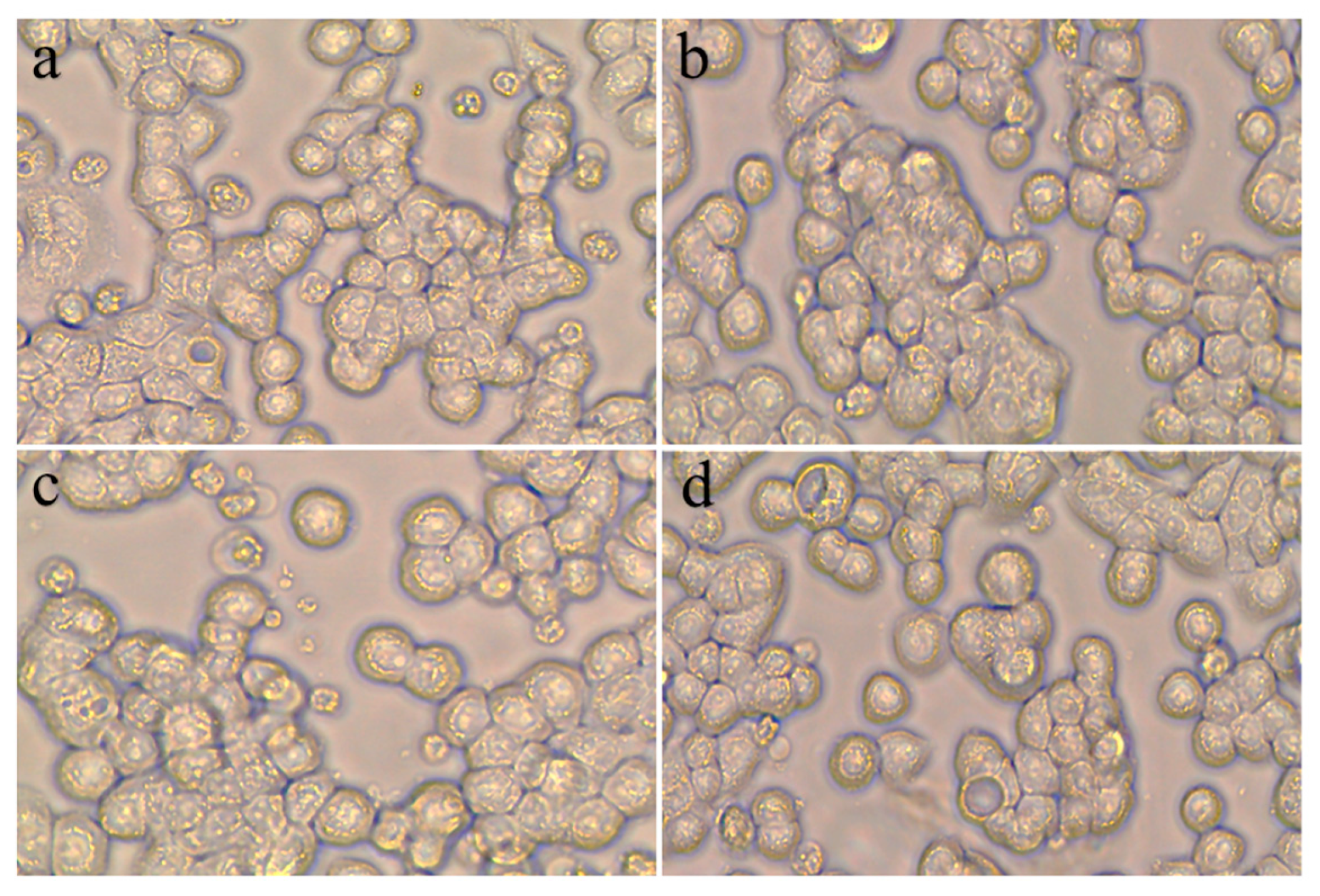 Pharmaceutics 16 00397 g004