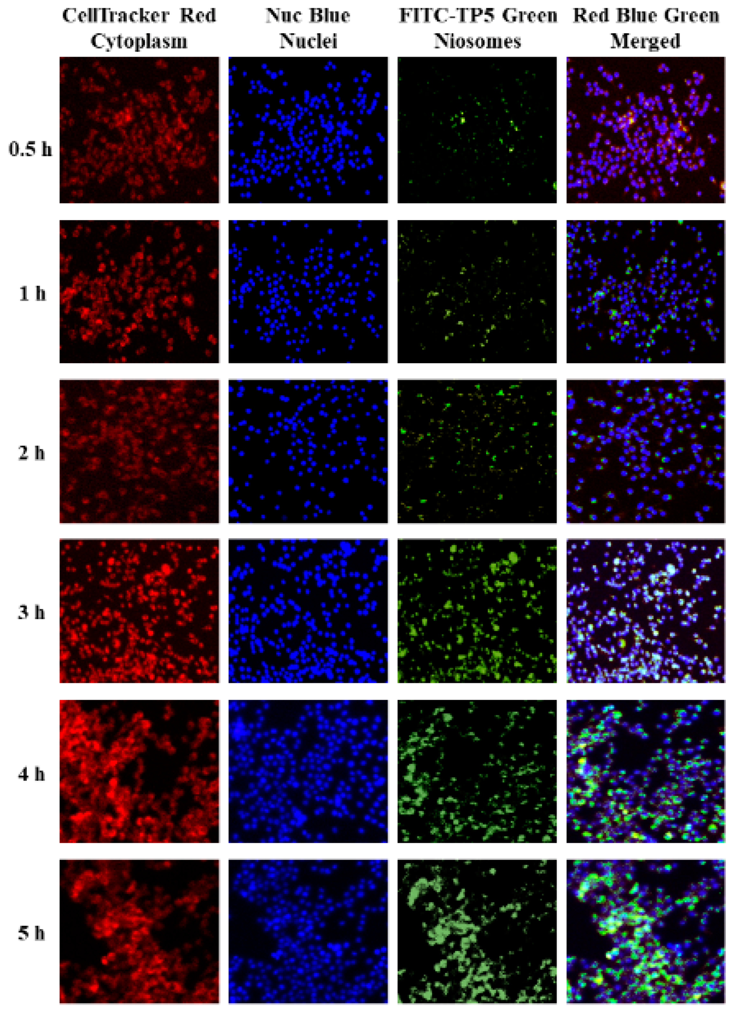 Pharmaceutics 16 00397 g008
