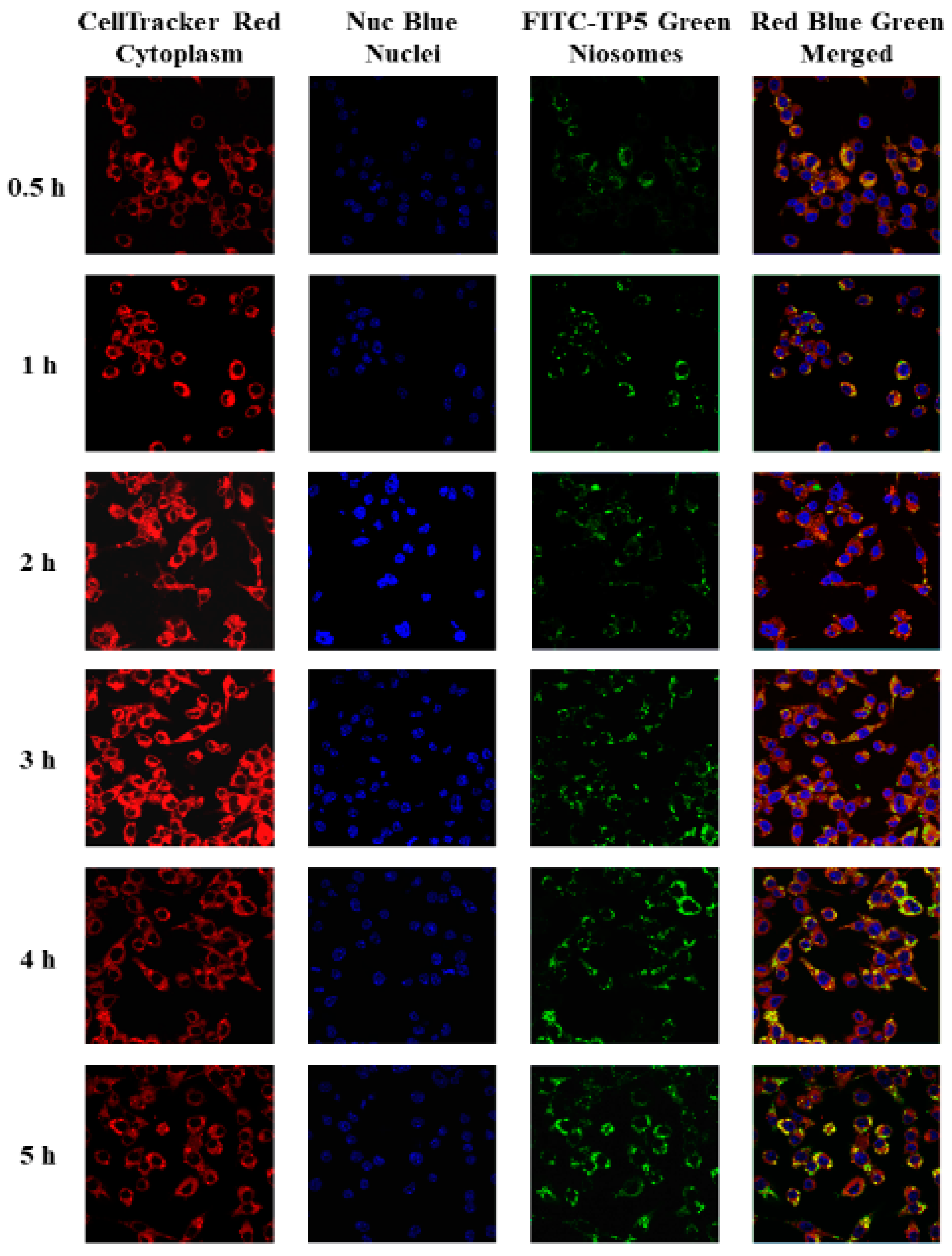 Pharmaceutics 16 00397 g009