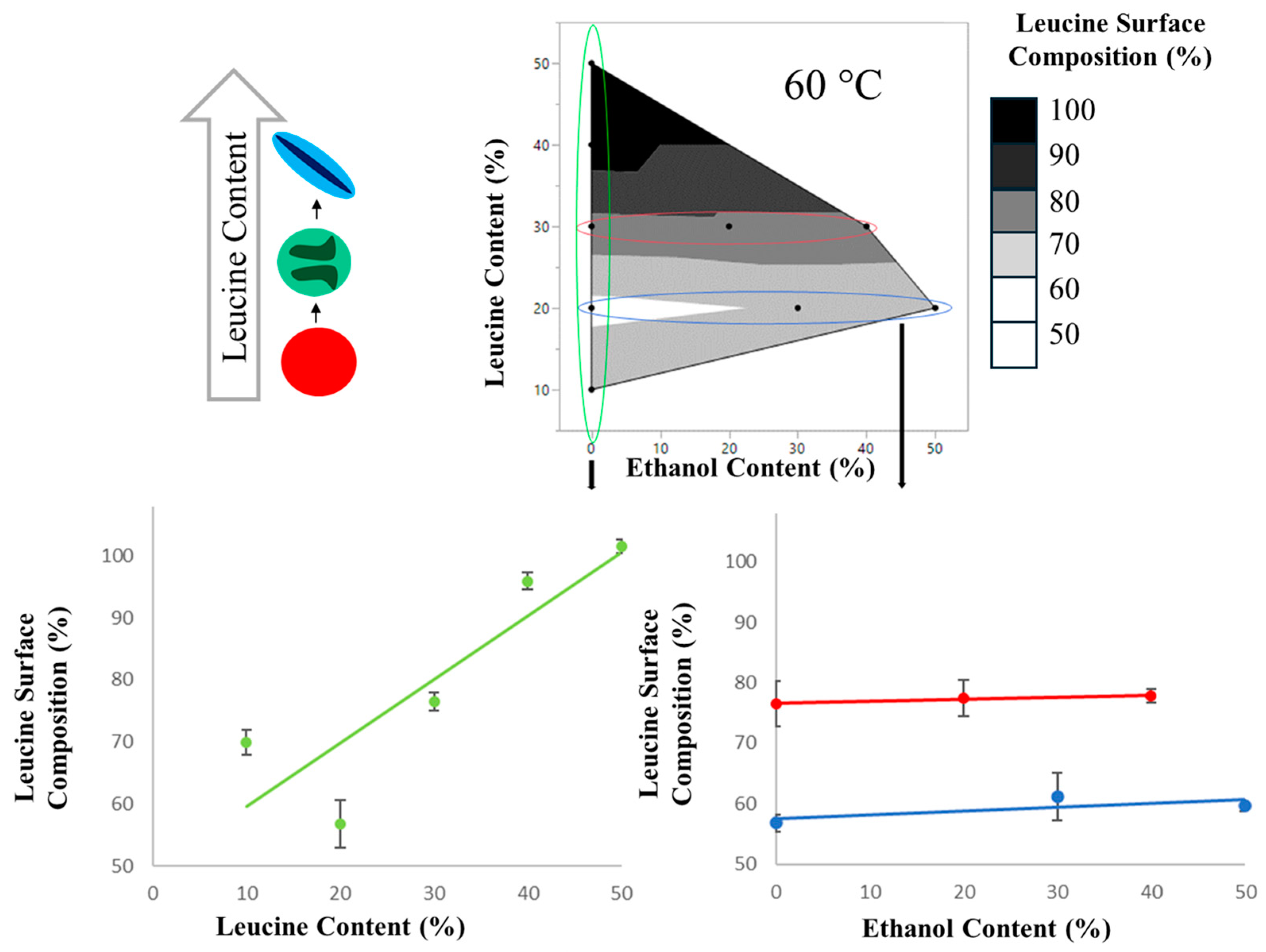 Pharmaceutics 16 00398 g012