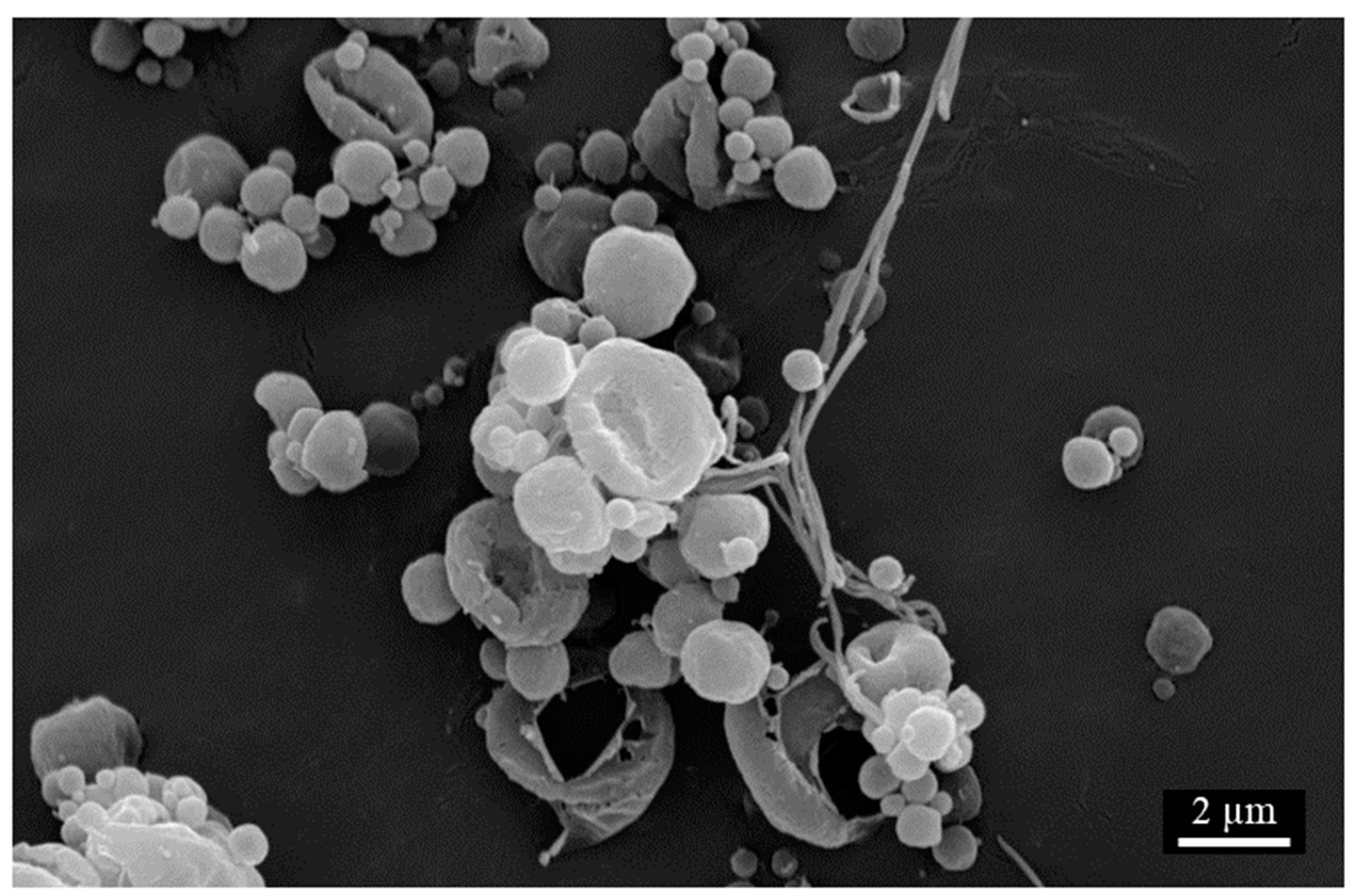 Pharmaceutics 16 00398 g018