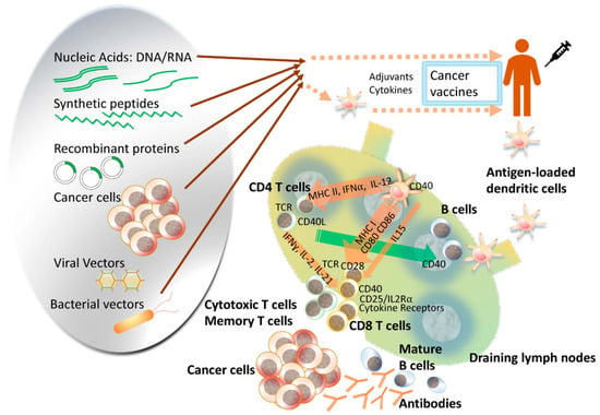 Role of Biofunctionalized Nanoparticles in Digestive Cancer  