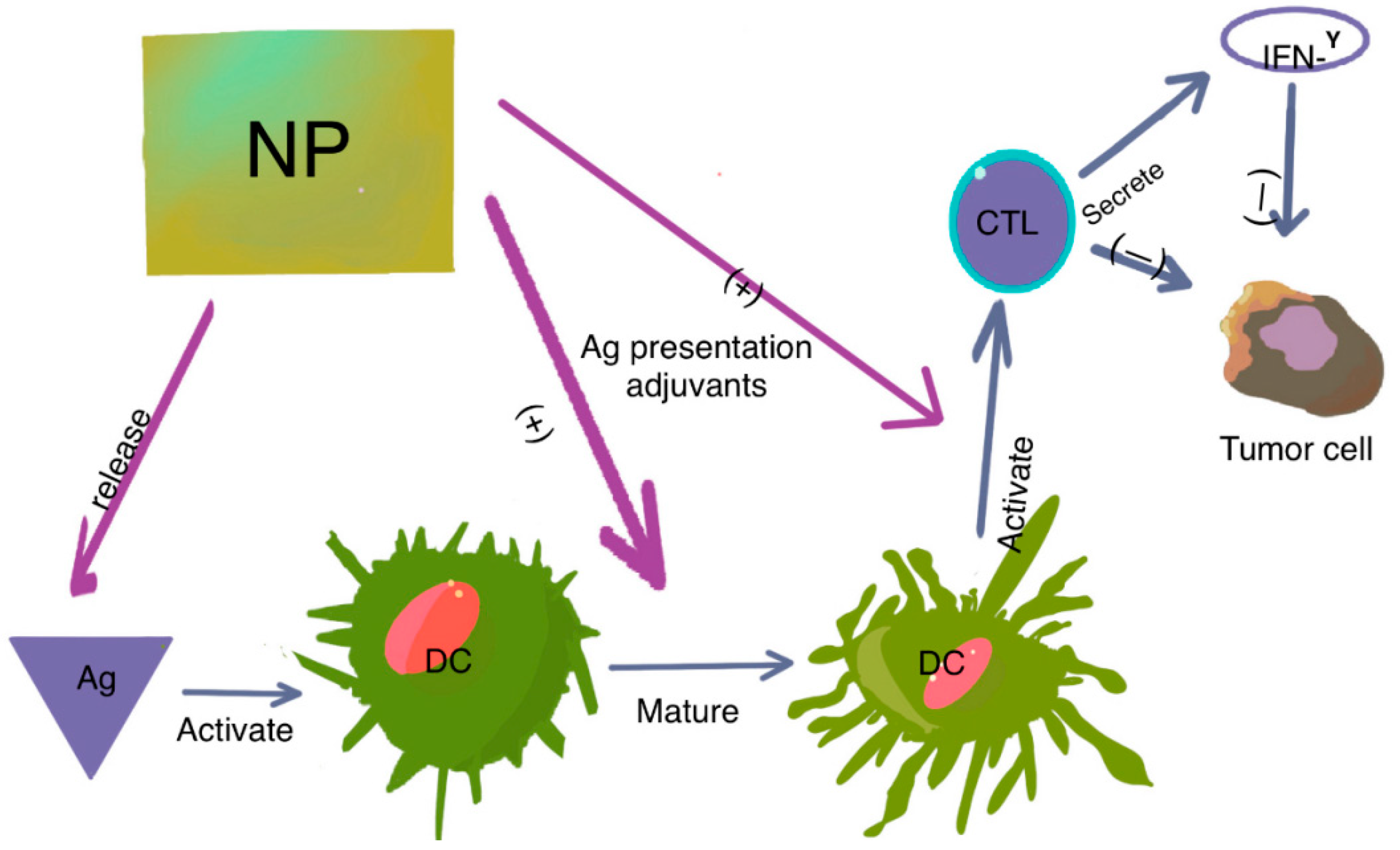 Role of Biofunctionalized Nanoparticles in Digestive Cancer  