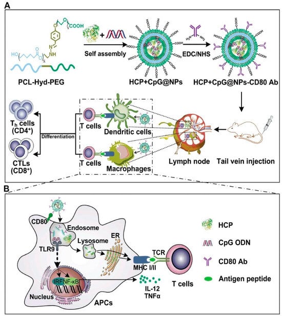 Role of Biofunctionalized Nanoparticles in Digestive Cancer  