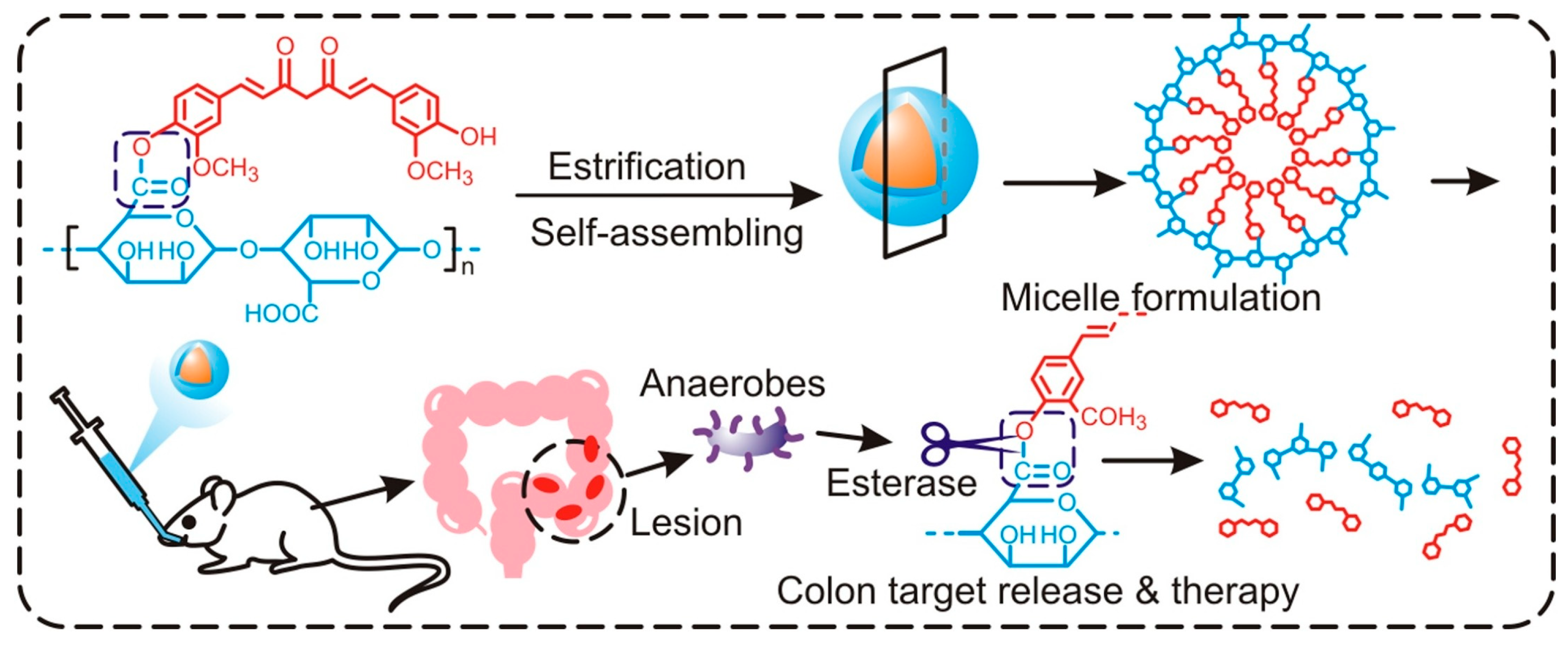 Pharmaceutics 16 00423 g005