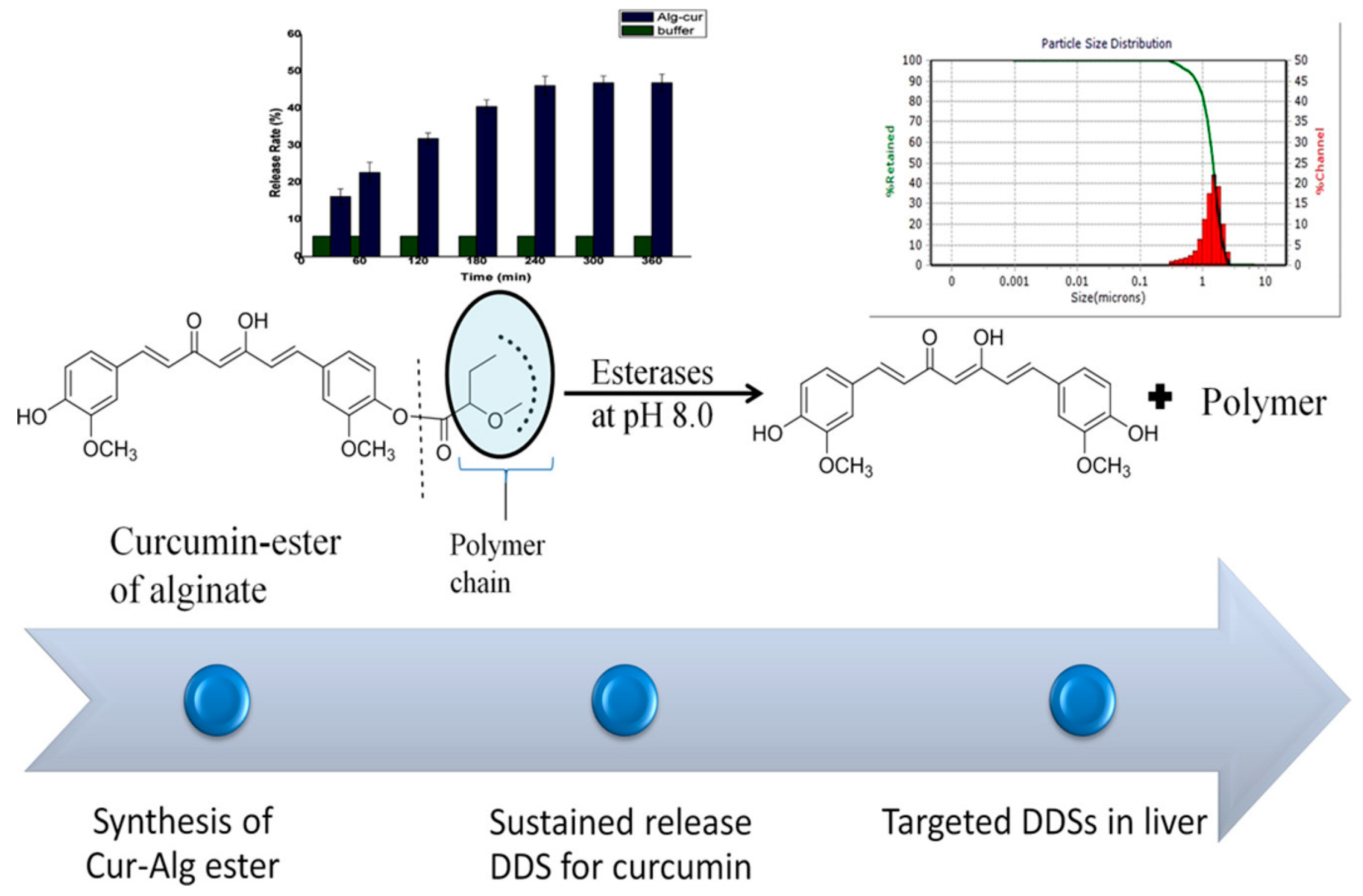 Pharmaceutics 16 00423 g006