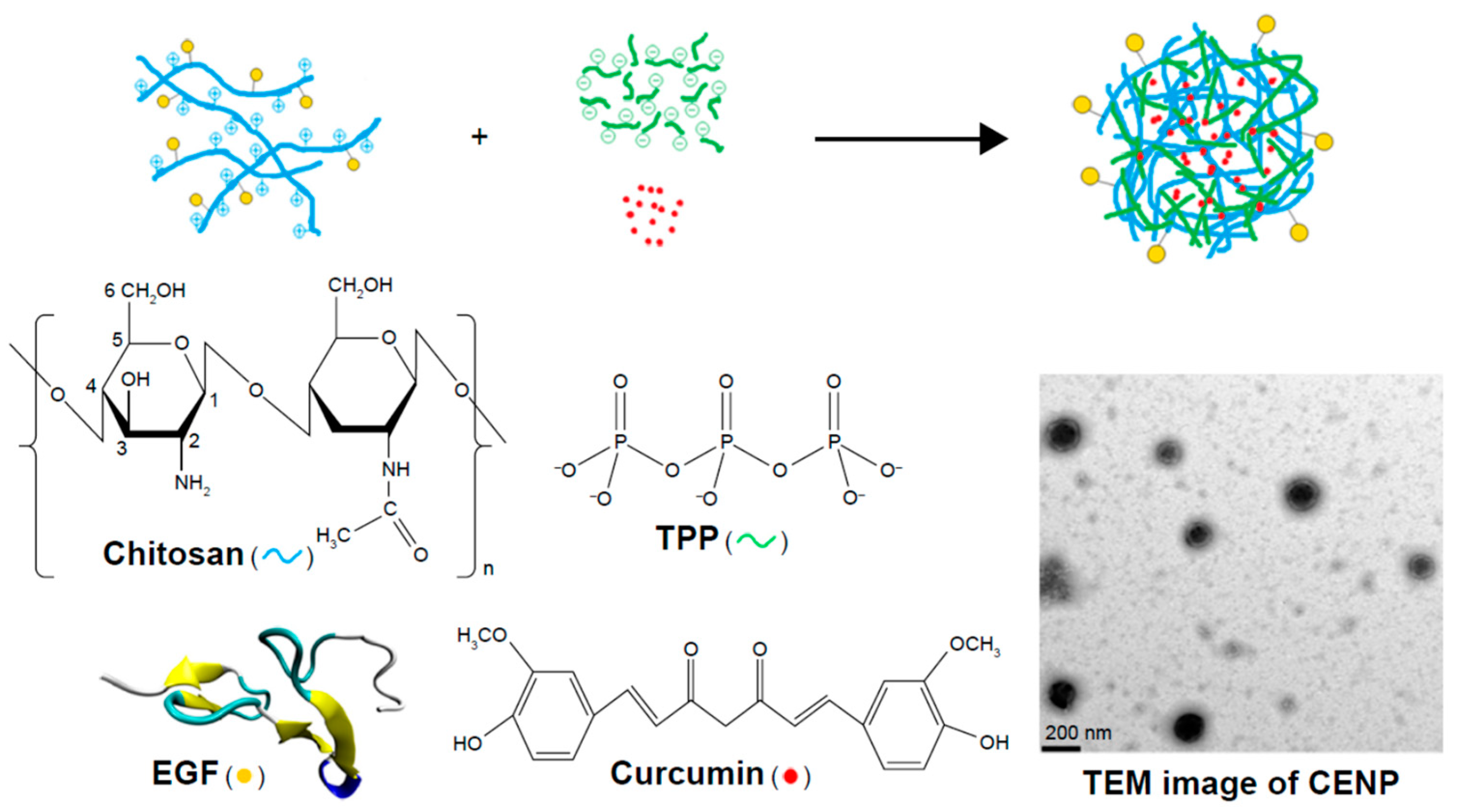 Pharmaceutics 16 00423 g010