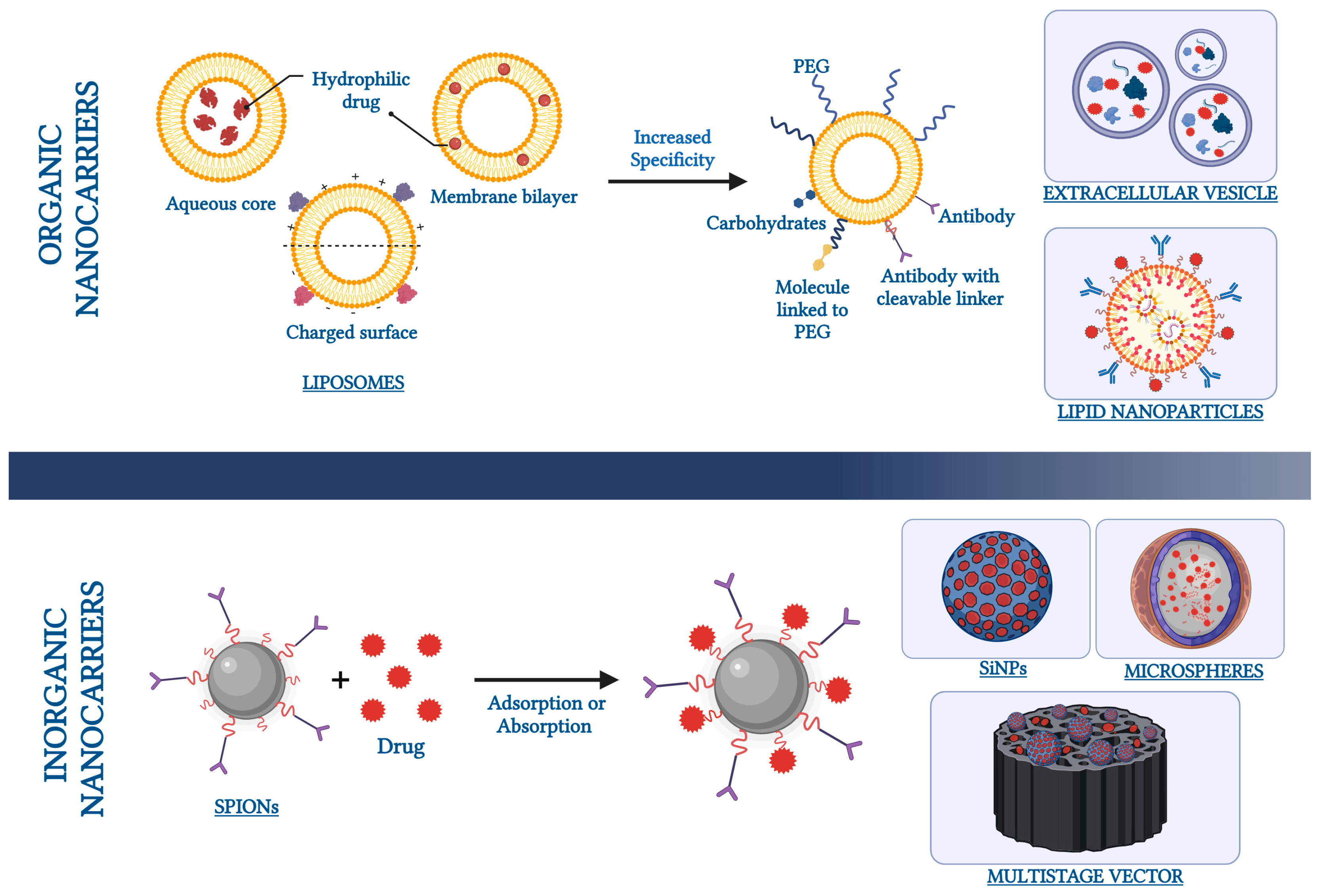 Pharmaceutics 16 00431 g002