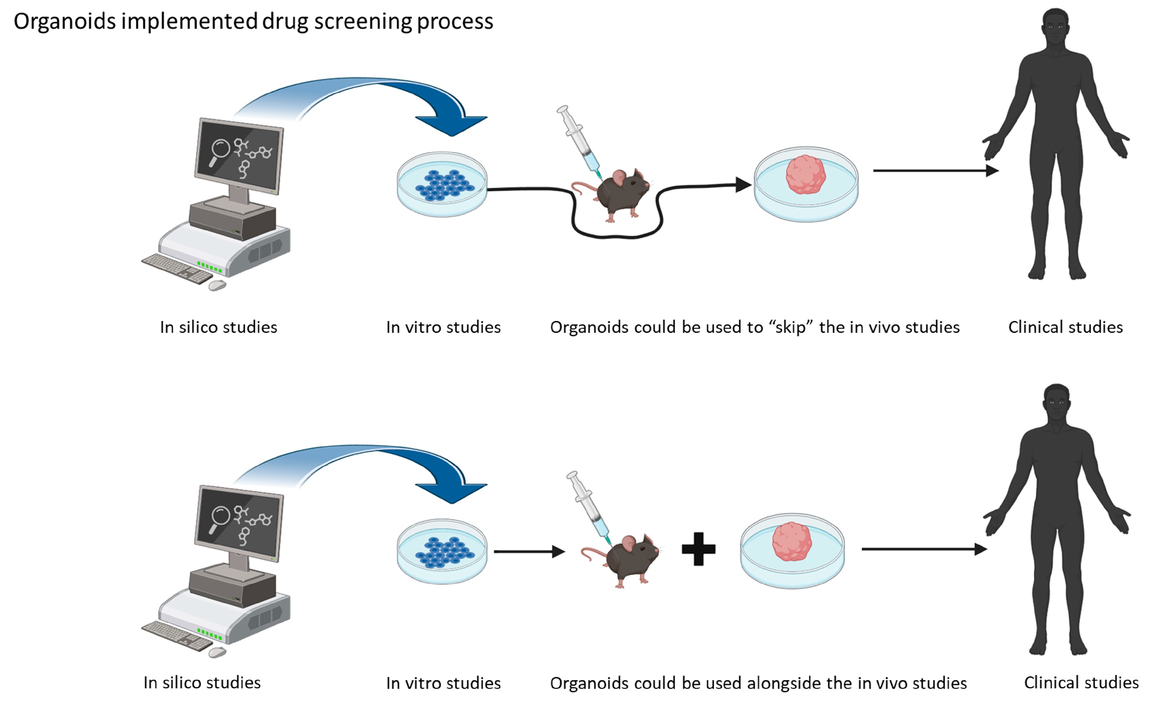 Pharmaceutics Free Full Text Brain Organoids A Game Changer